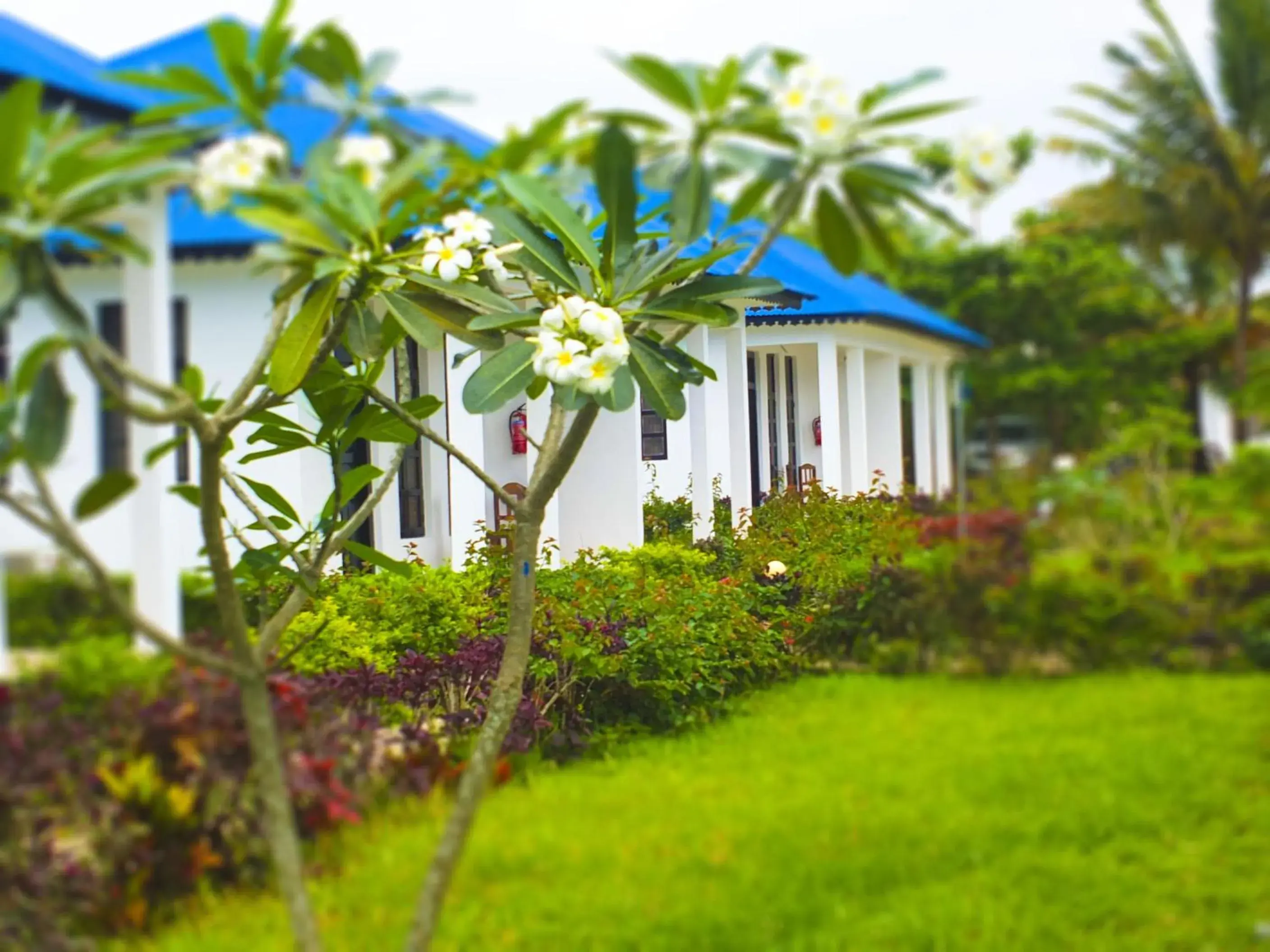 Kigwedeni Villas Kigwedeni Villas