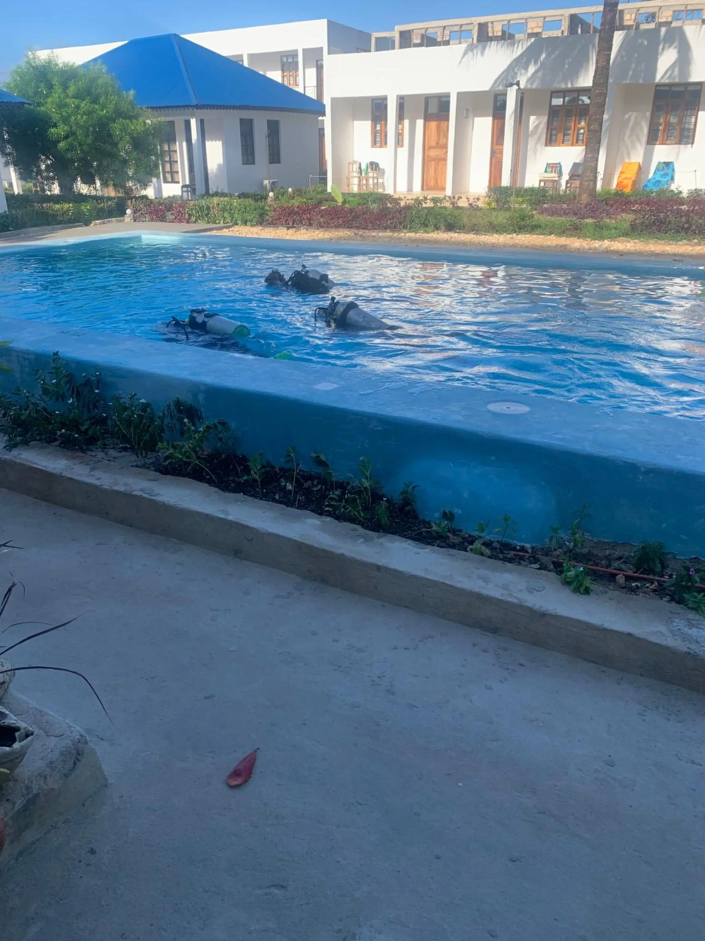 Swimming pool in Kigwedeni Villas