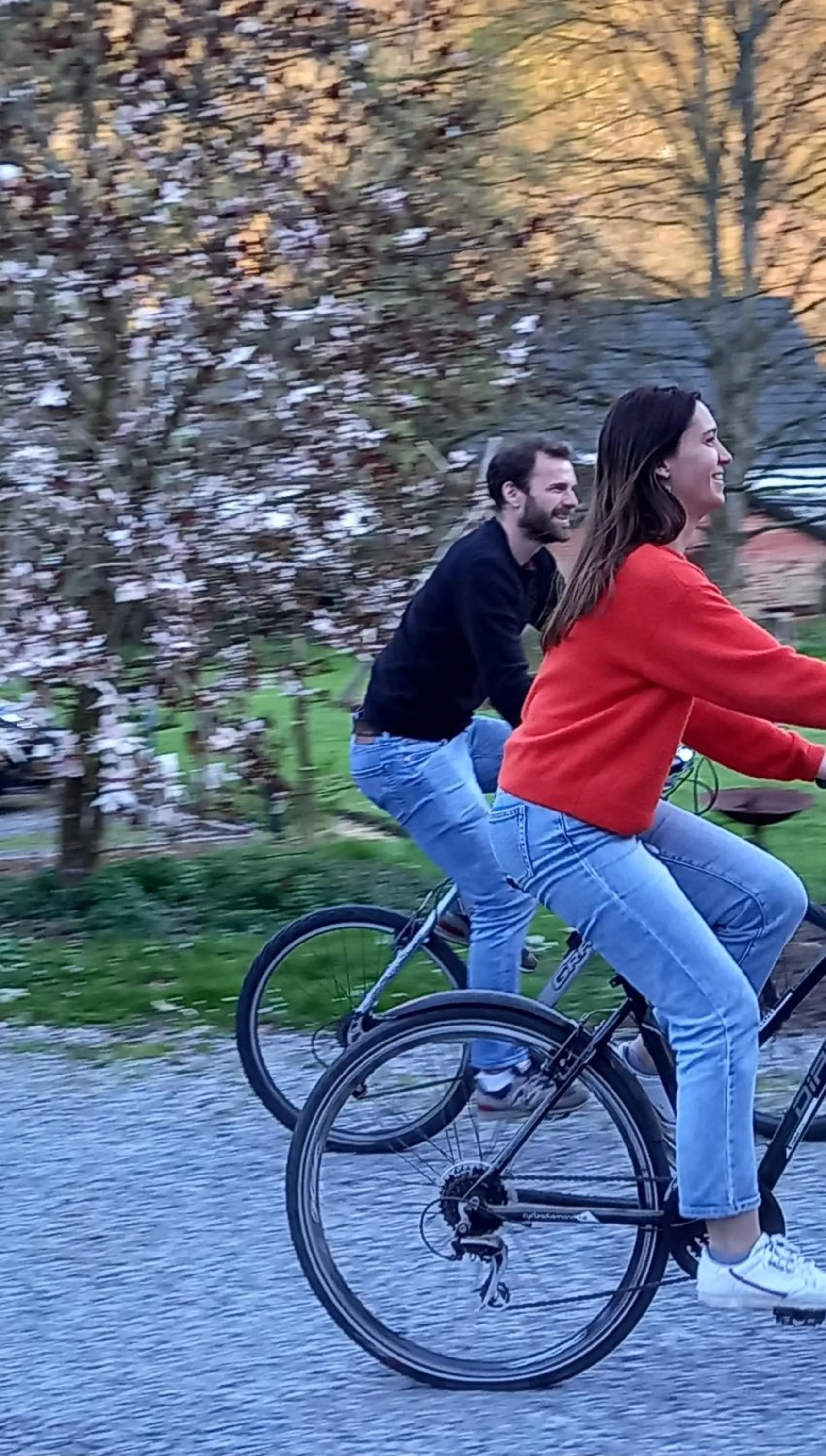 Garden in B&B Windsor - Guesthouse