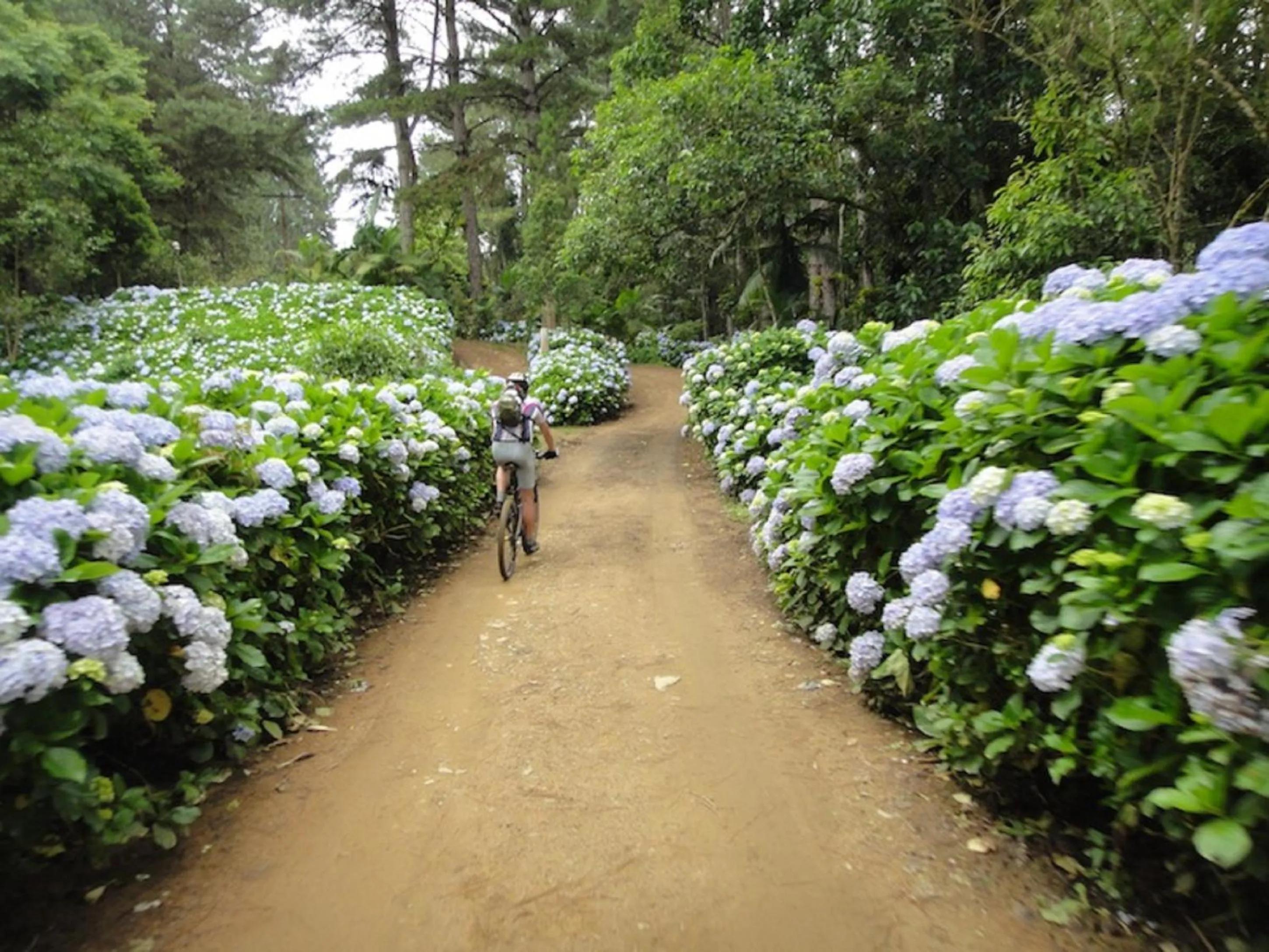 Cycling in Blue Hill Hotel