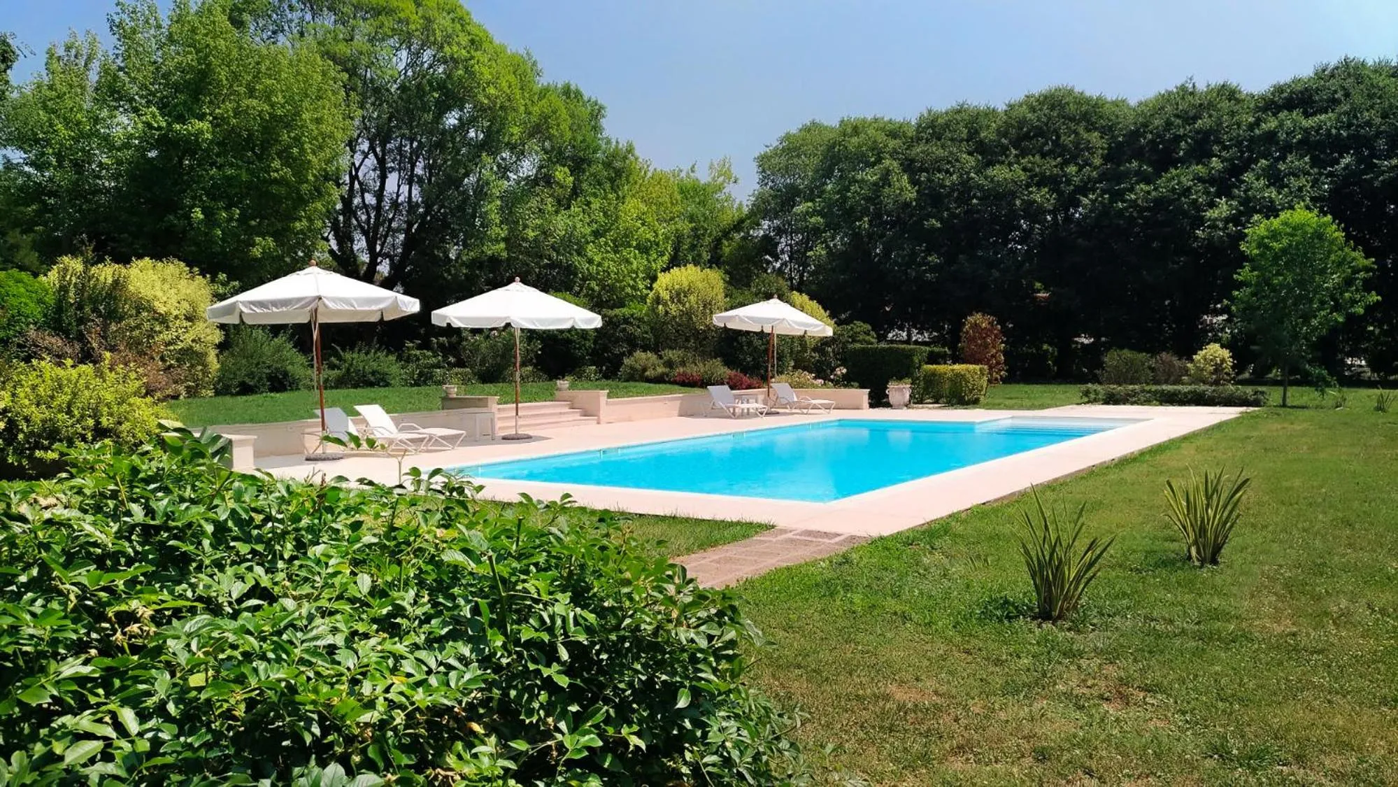 Swimming pool in Villa Zane