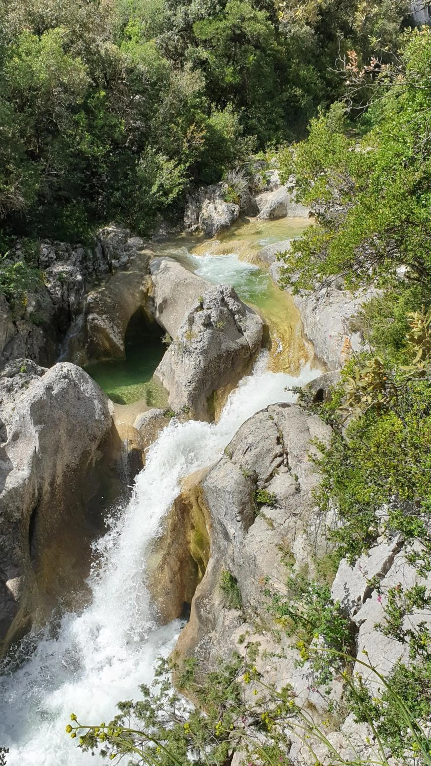 Natural landscape in Boutique Hôtel Entraigues