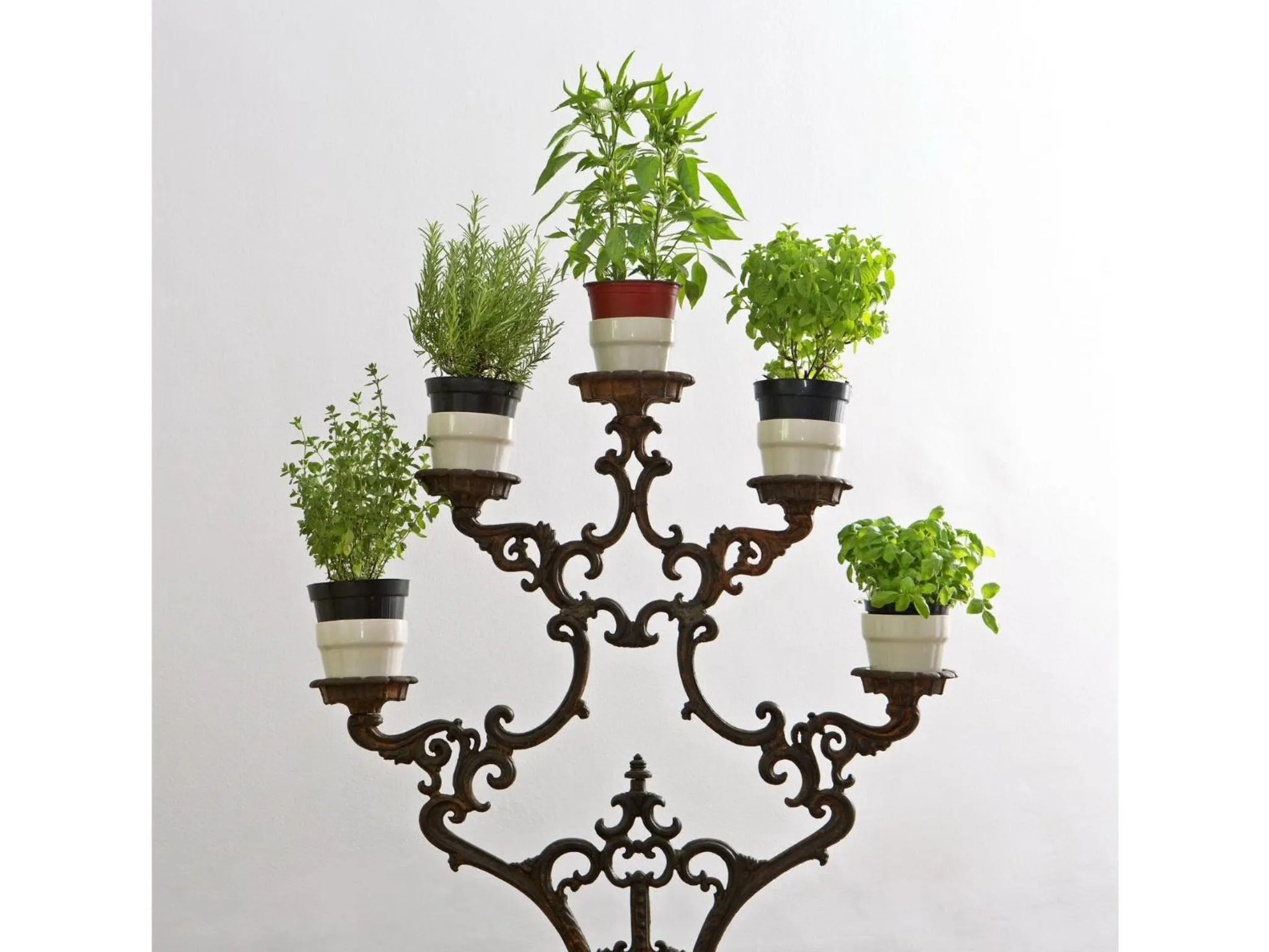 Decorative detail in B&B Albaro