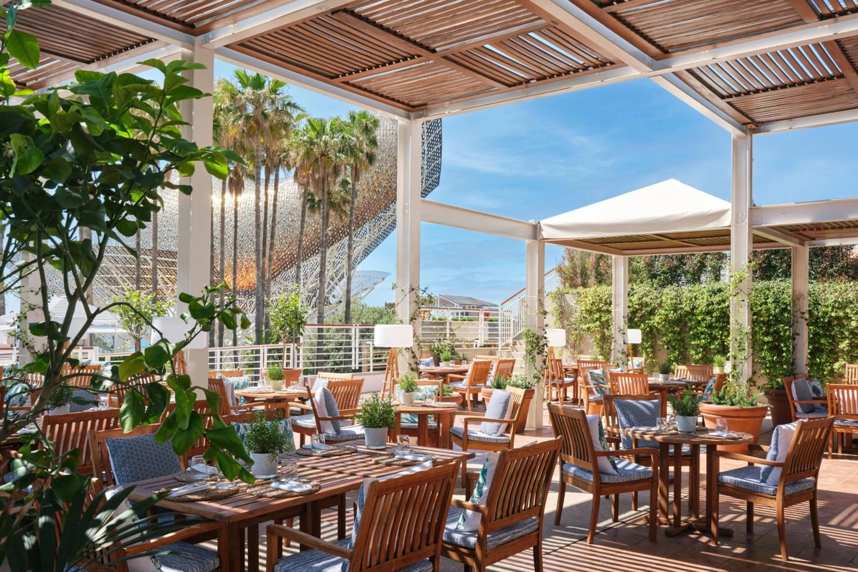 Restaurant/places to eat in Hotel Arts Barcelona