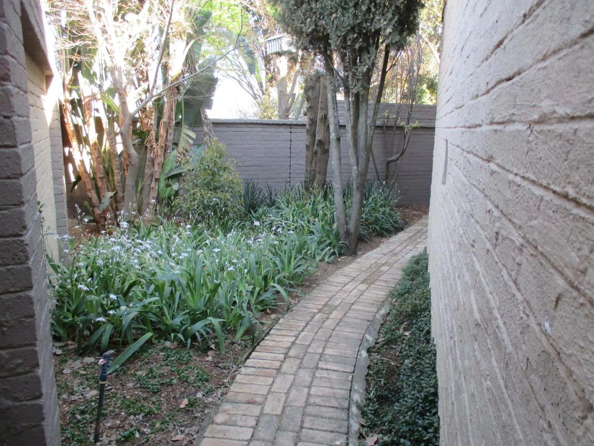 Garden in Monchique Boutique Guest House