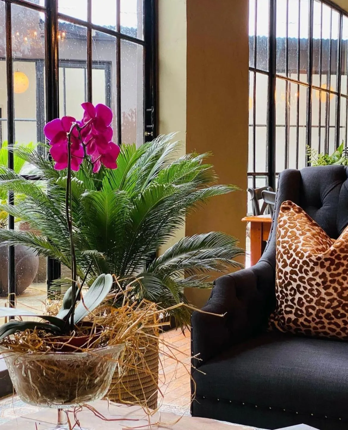 Restaurant/places to eat in The Hanover Luxury Hotel