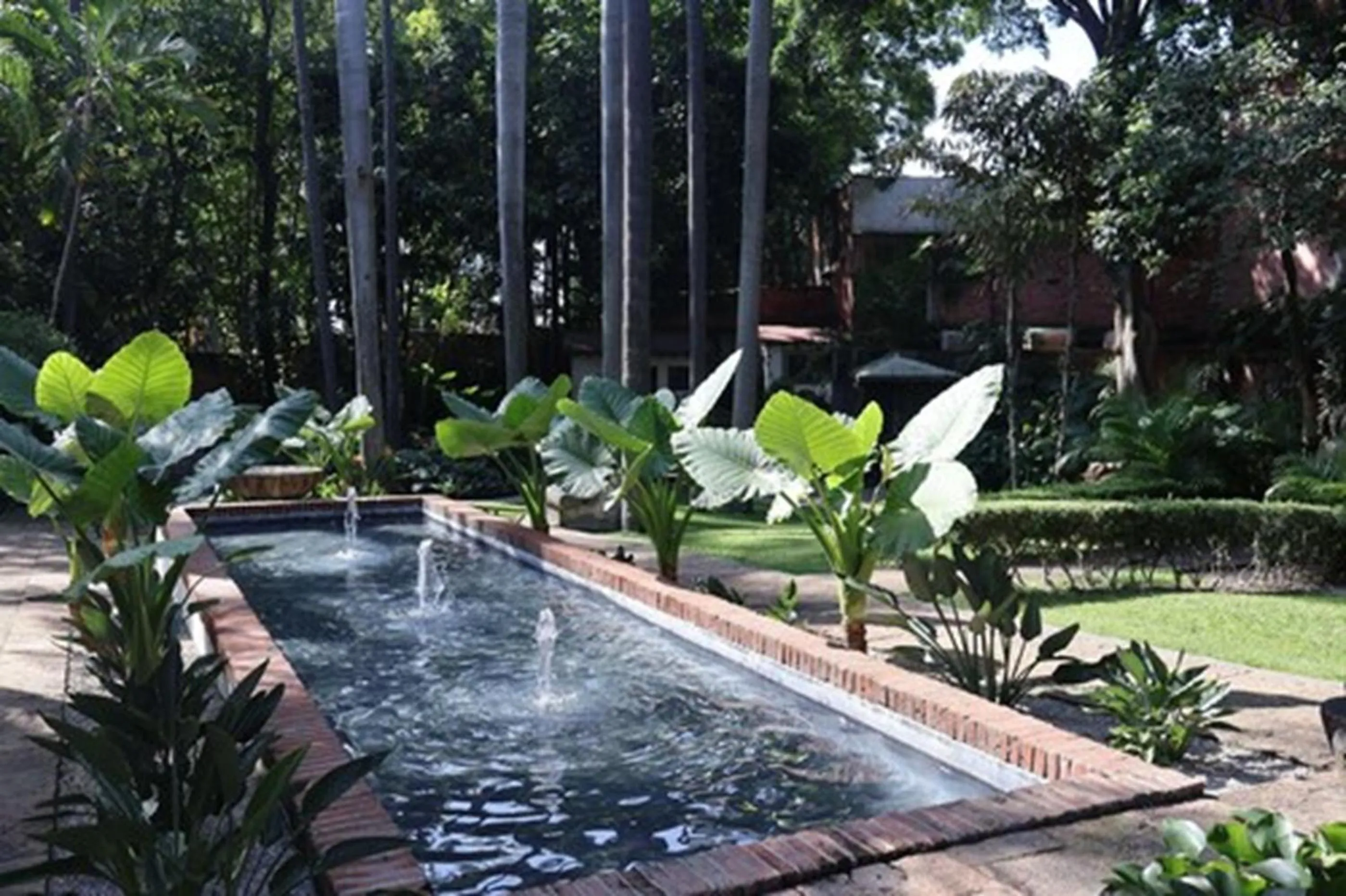 Garden in Avicena Hotel Boutique