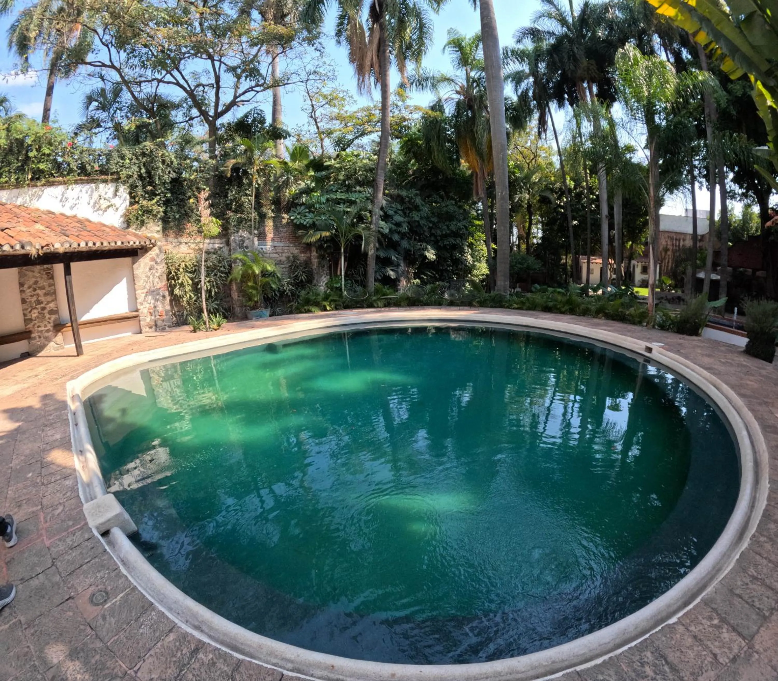Garden in Avicena Hotel Boutique