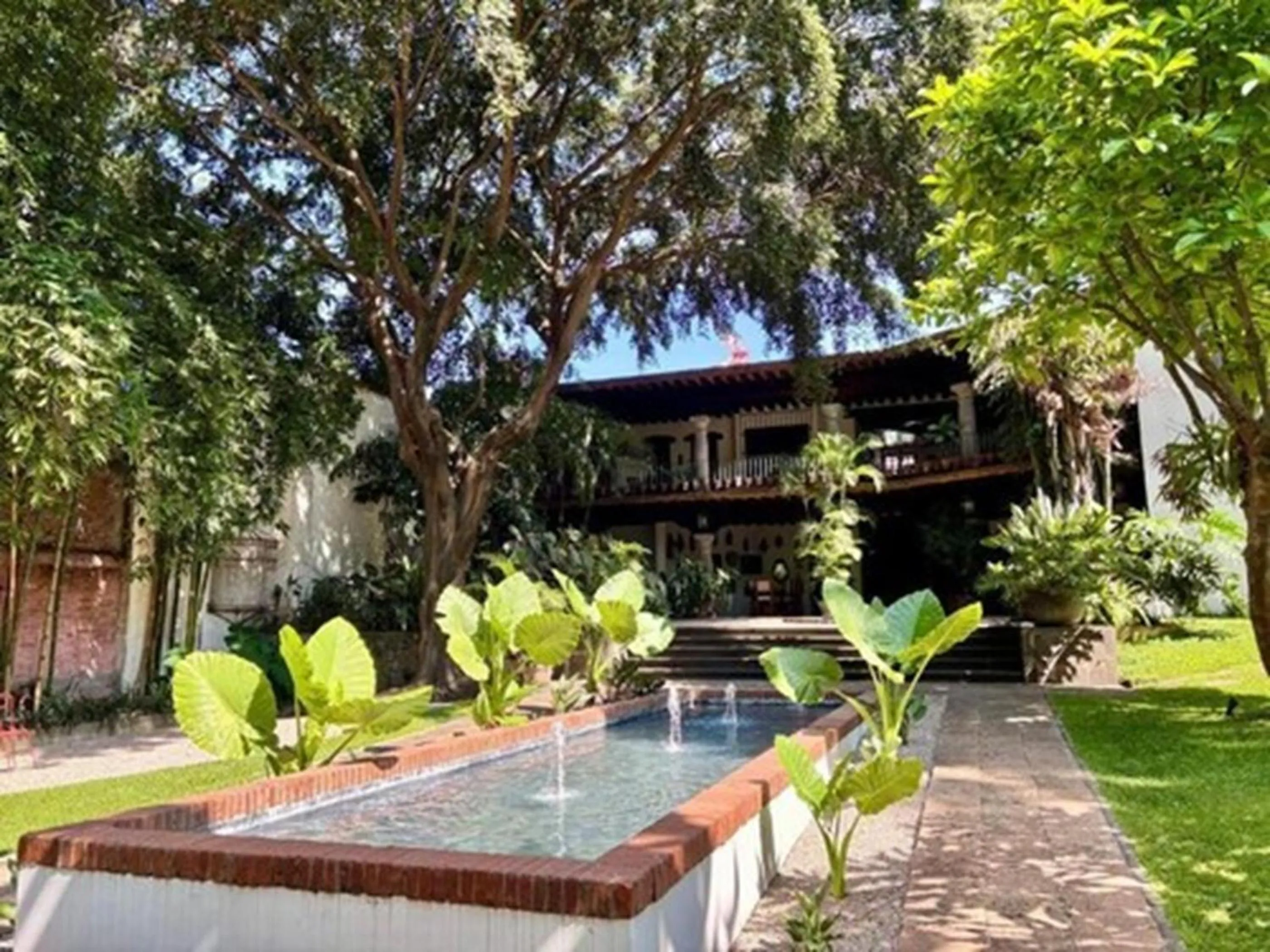Garden in Avicena Hotel Boutique