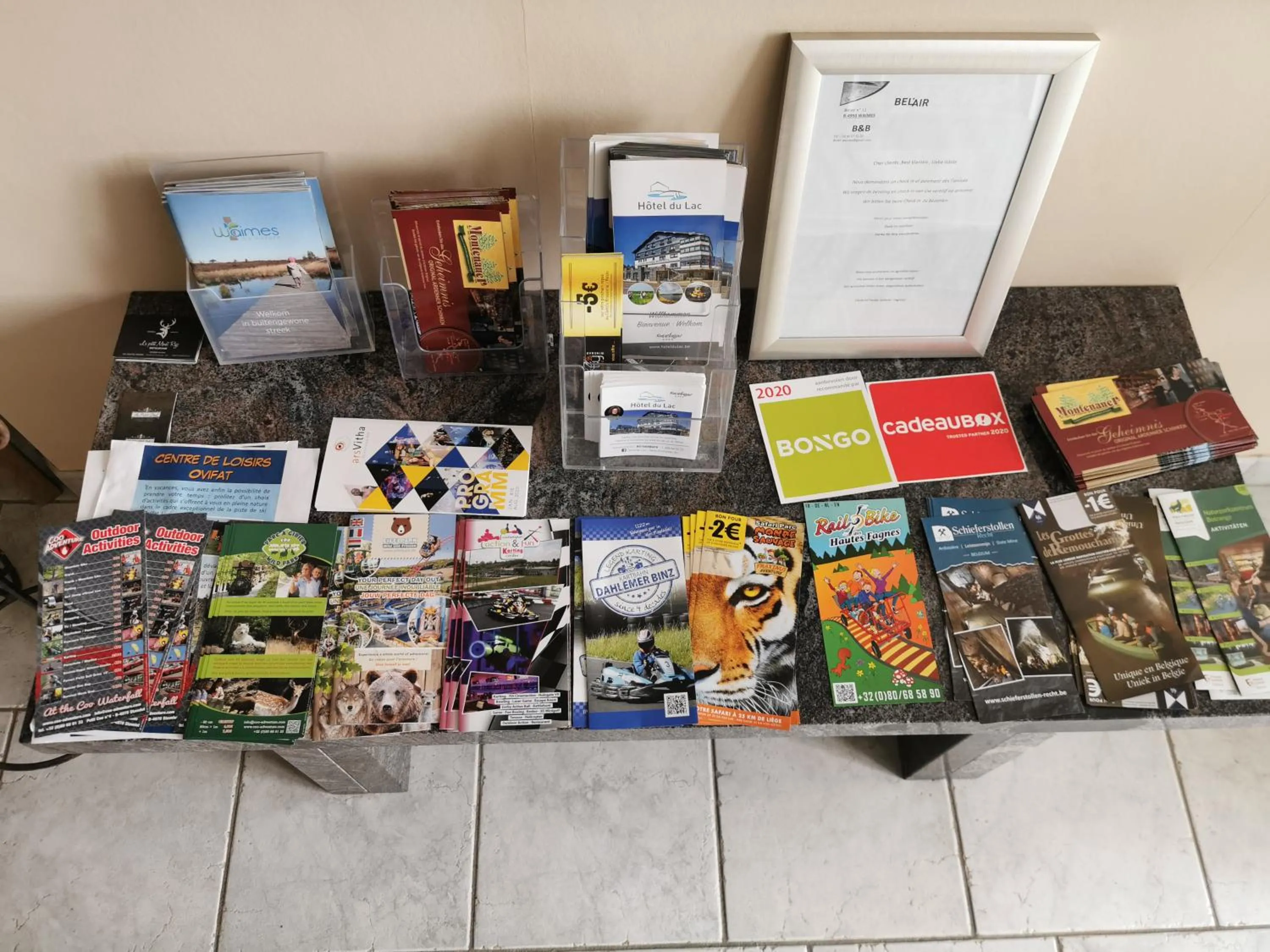 Lobby or reception in Hôtel Belair "Ravel Etape"