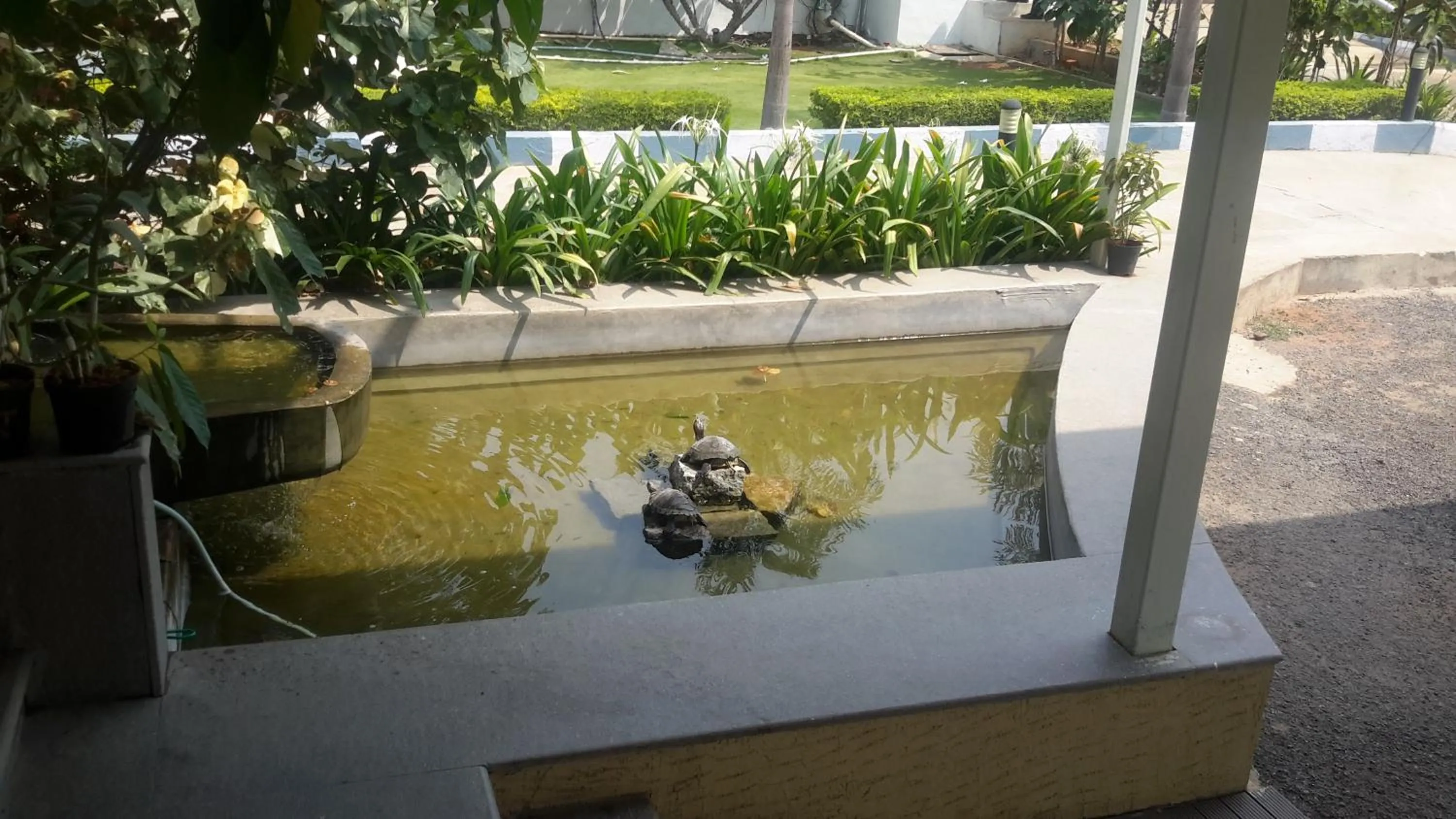 Day in Mrugavani Resort & Spa