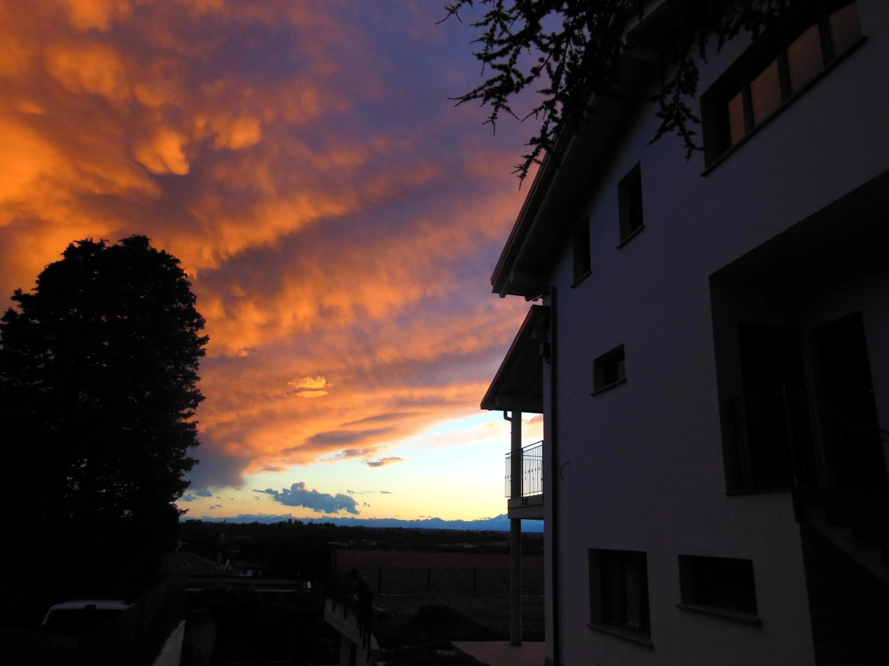 Garden view in La Villa Bianca Guest house