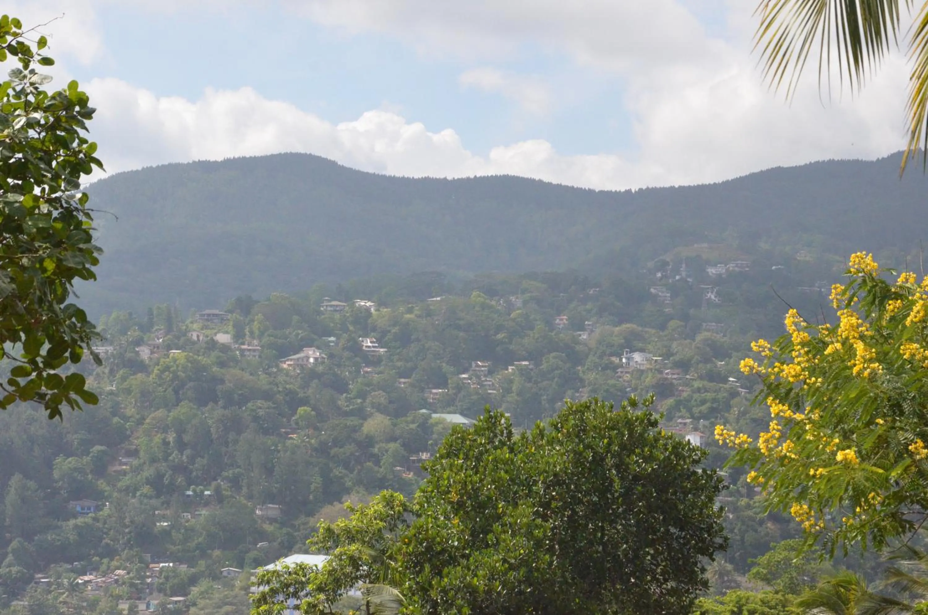 Mountain view in The Buena Vista Kandy