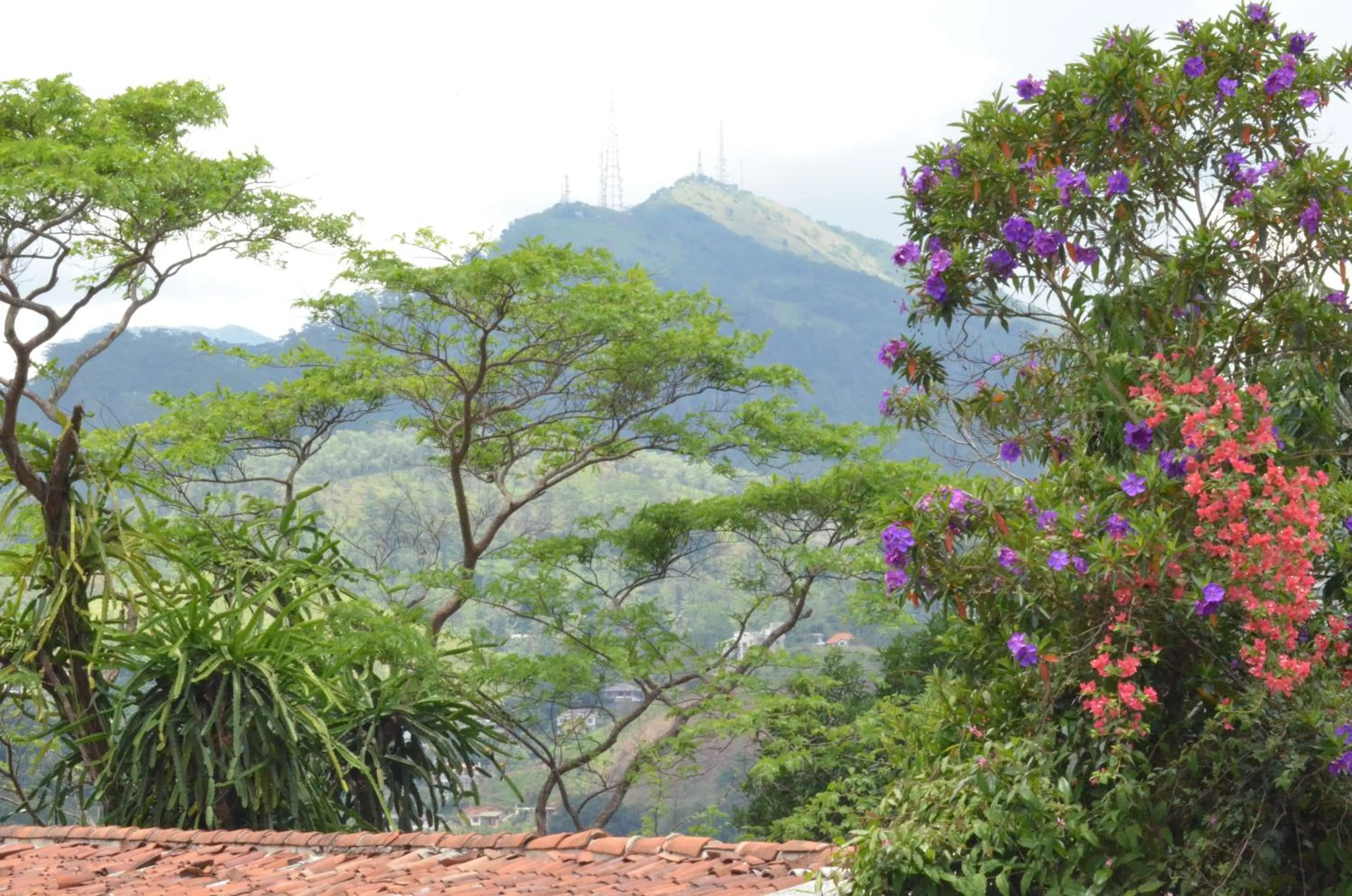 Natural landscape in The Buena Vista Kandy