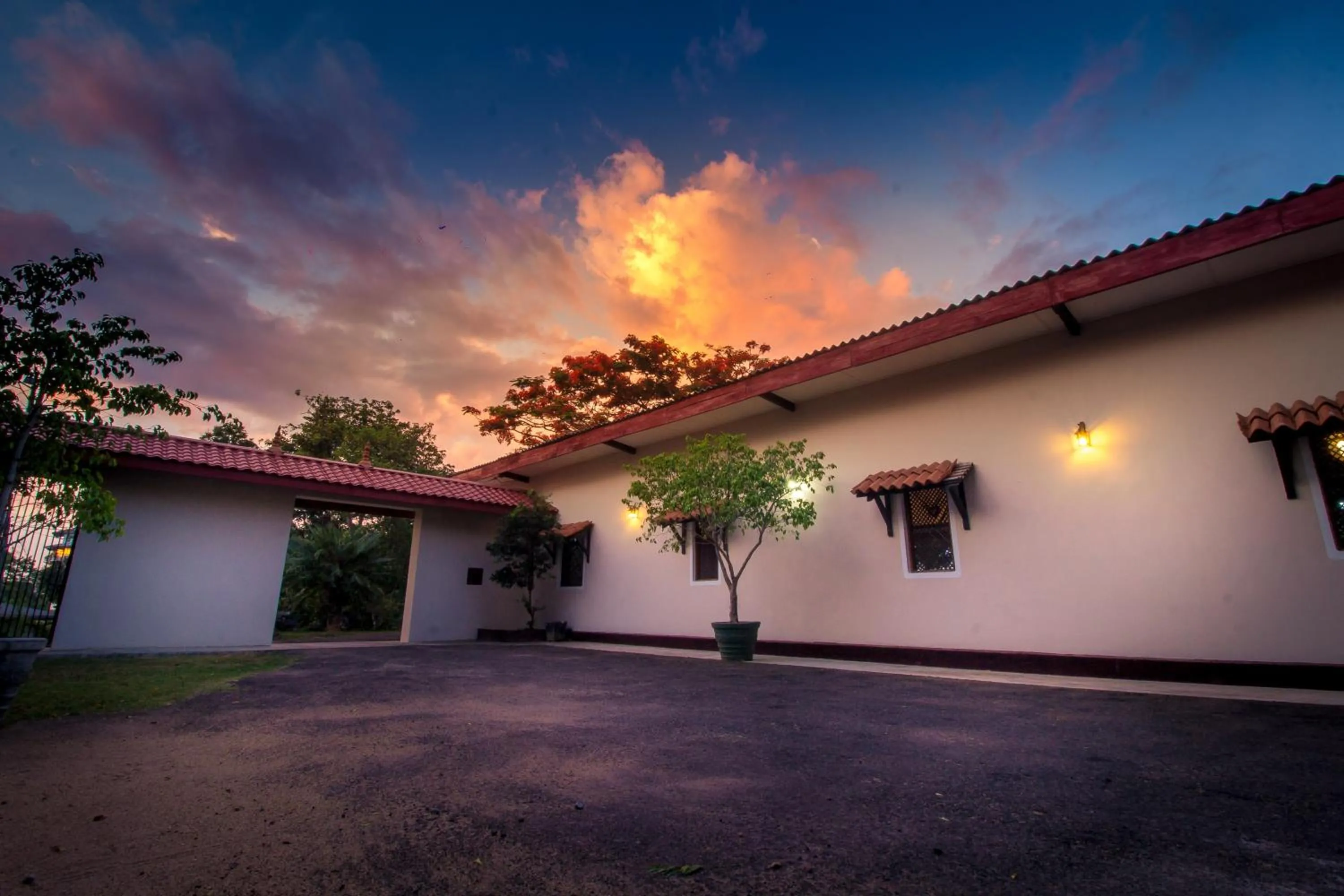 The Buena Vista Kandy