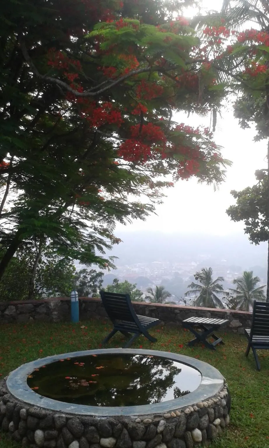 Garden view in The Buena Vista Kandy