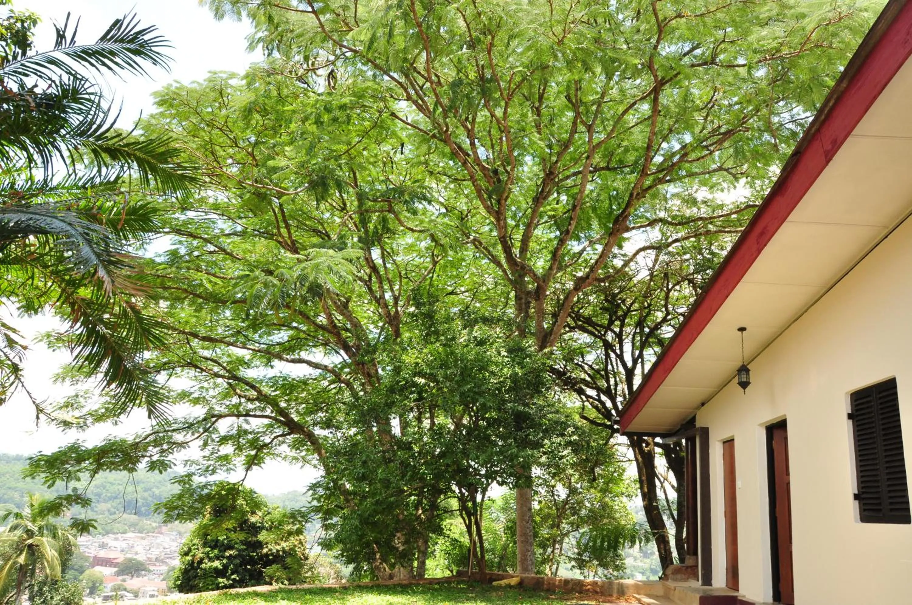 Natural landscape in The Buena Vista Kandy