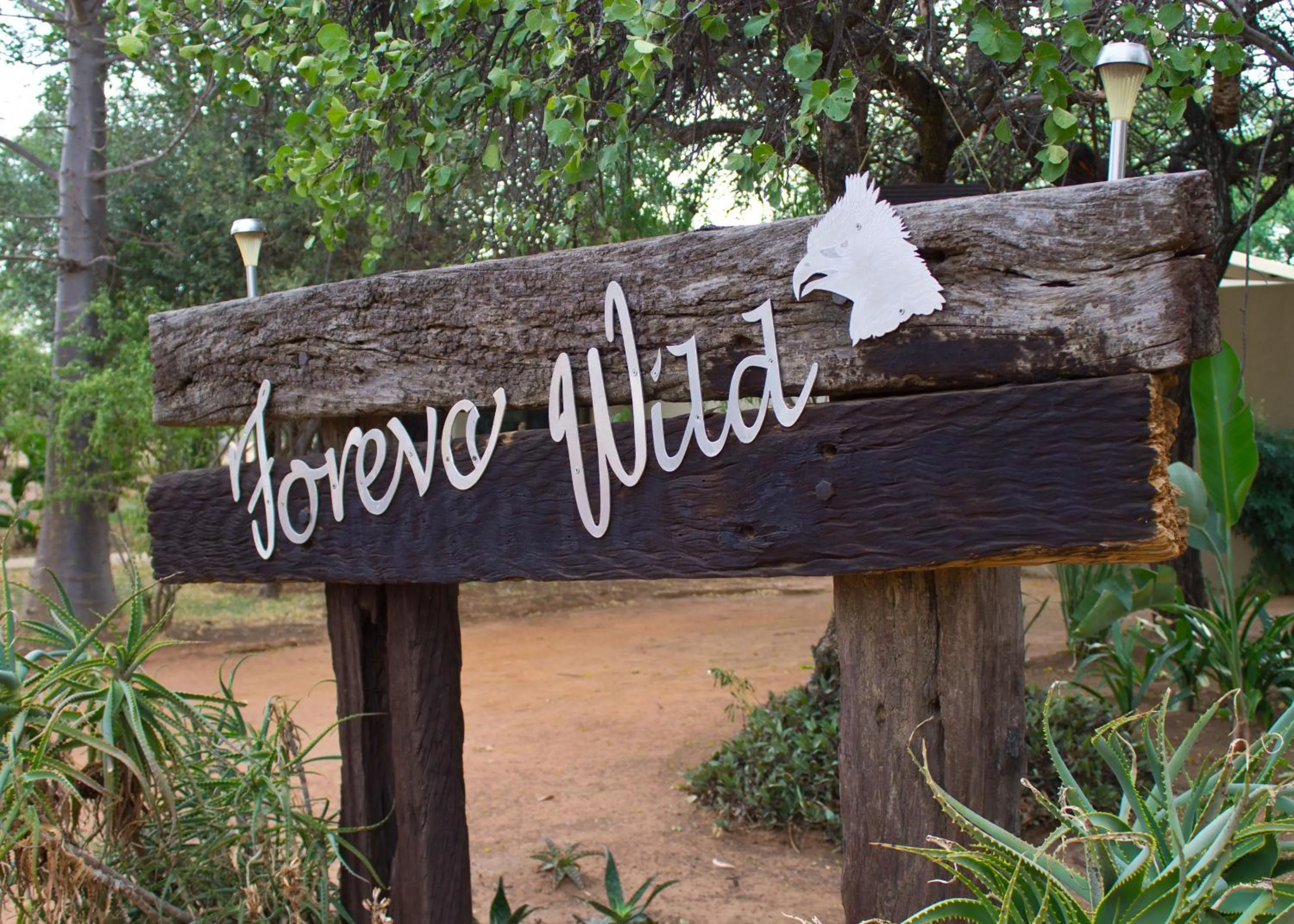 Property logo or sign in Foreva Wild