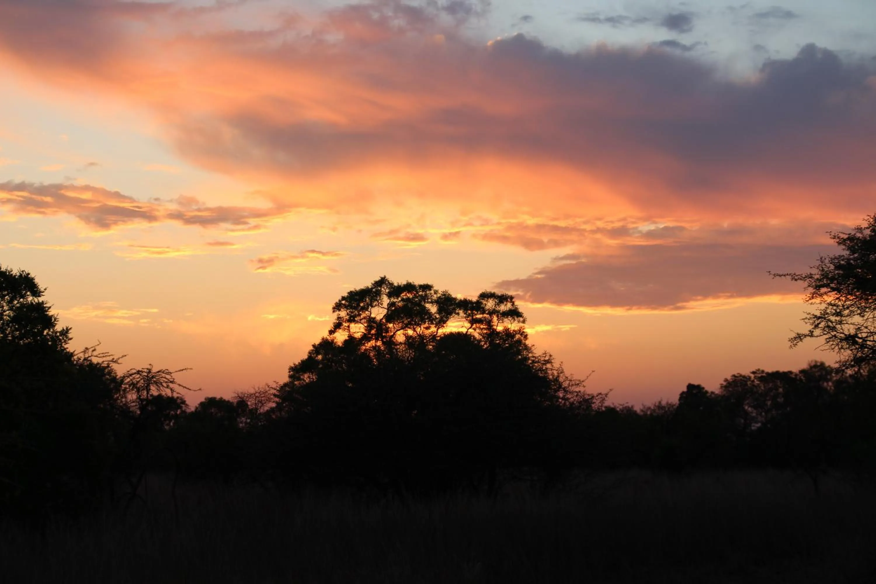 Natural landscape in Foreva Wild