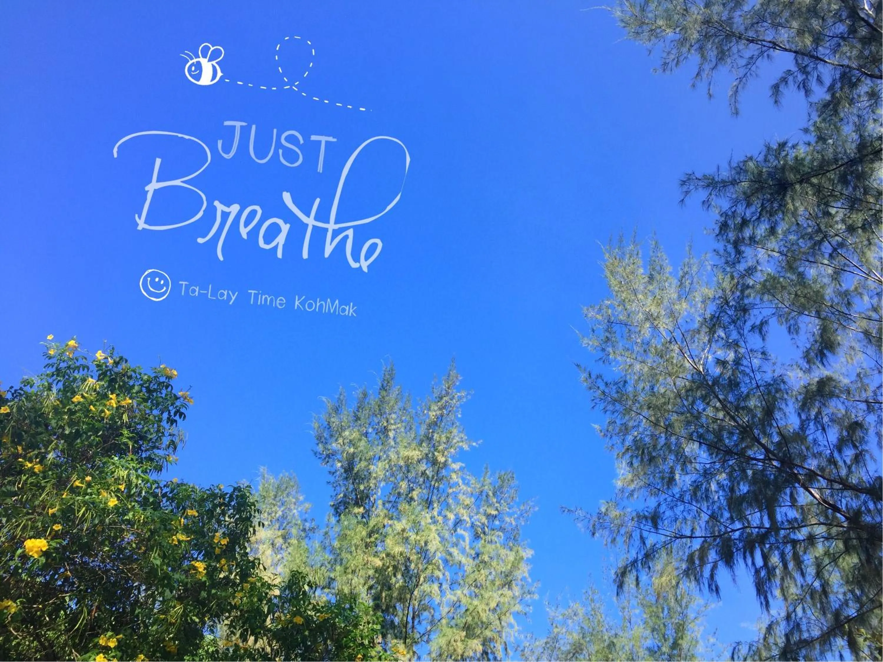 Text overlay in Ta-Lay Time KohMak