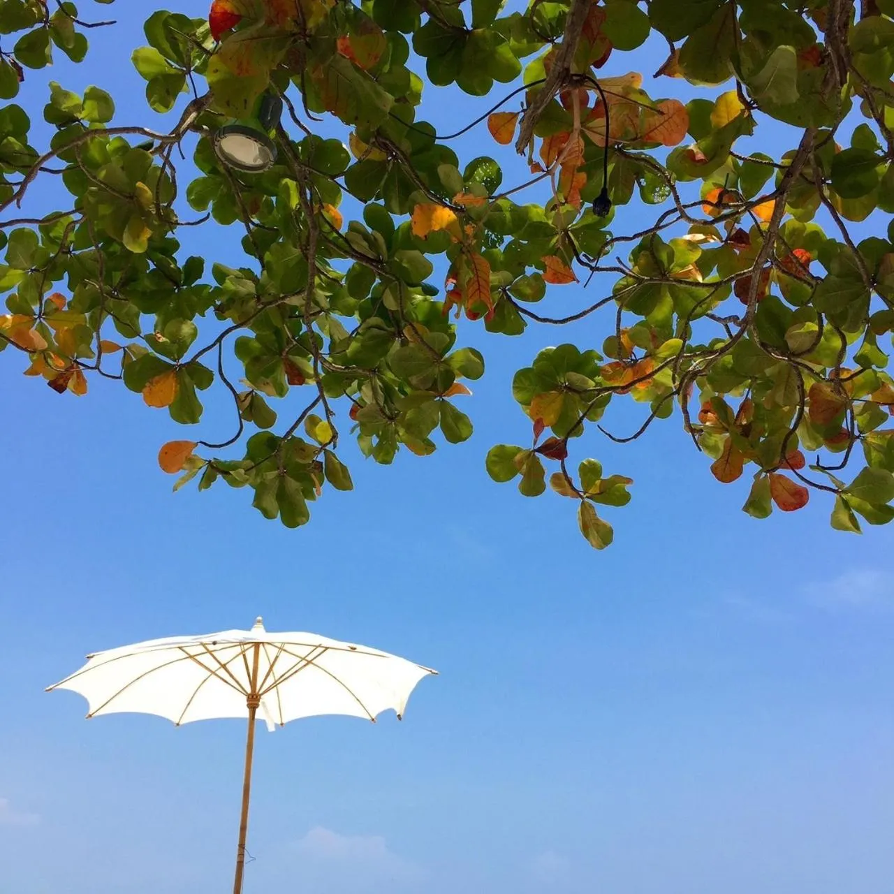 Day in Ta-Lay Time KohMak