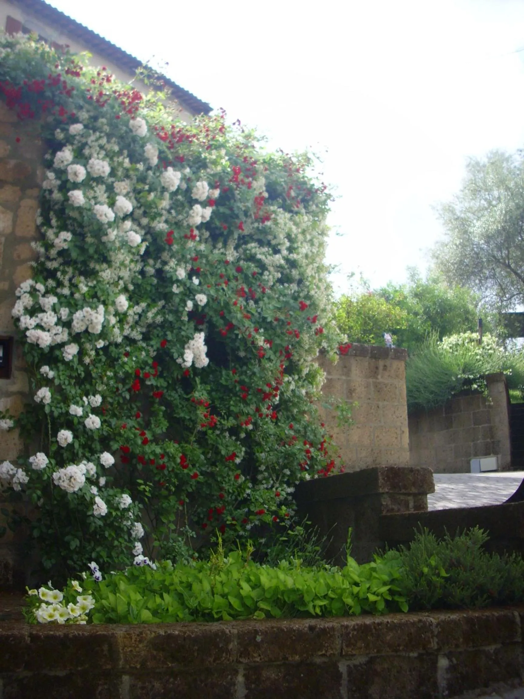 Decorative detail in Chiara e Benedetta Villa degli Ulivi