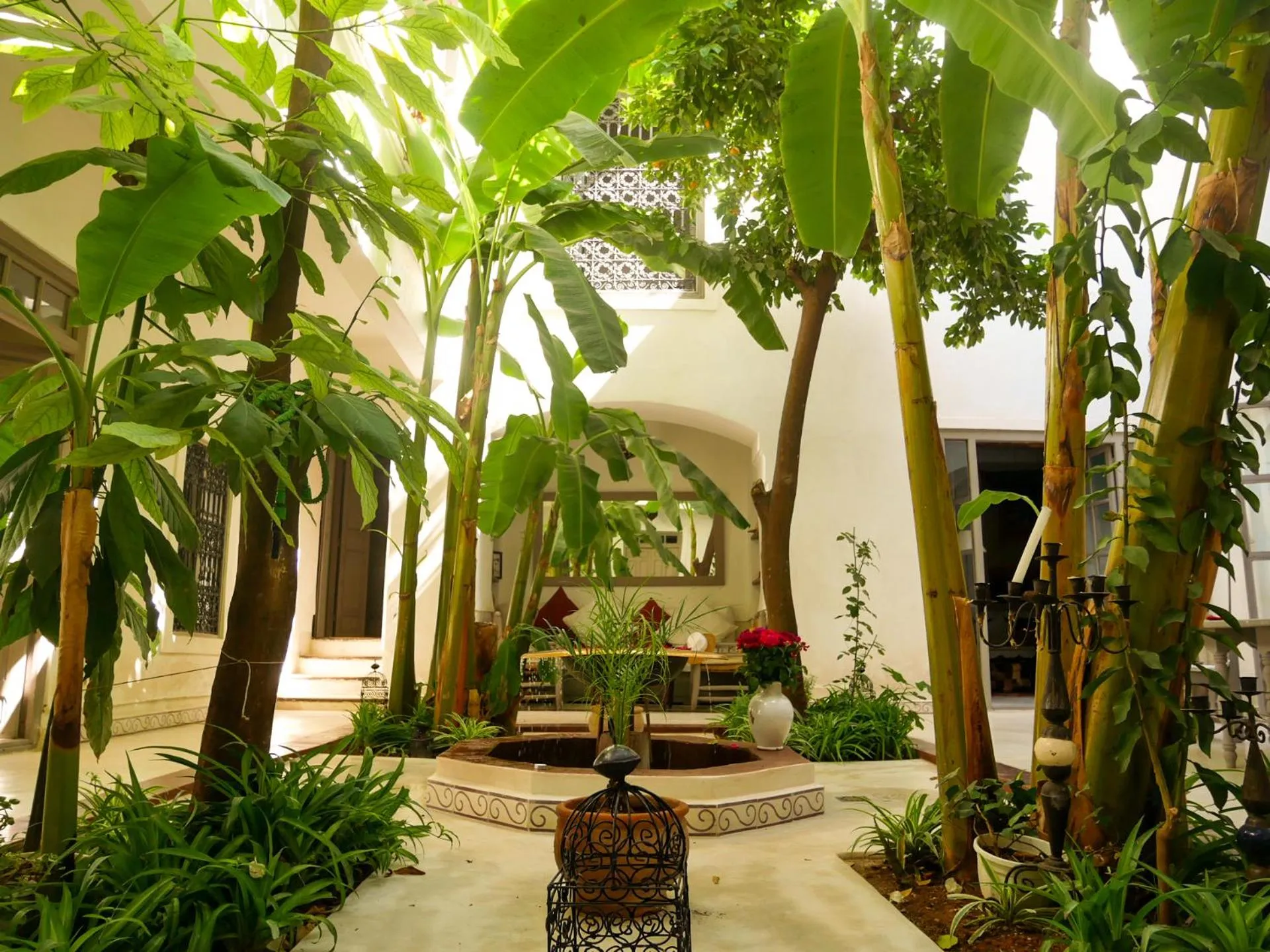 Patio in Riad Dar Aman