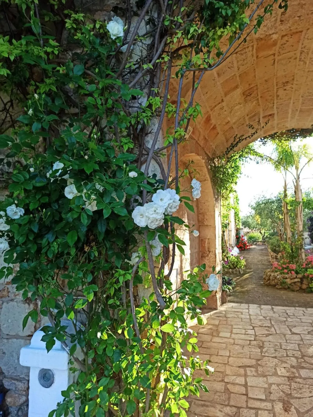 Agriturismo Tenuta Mazzetta