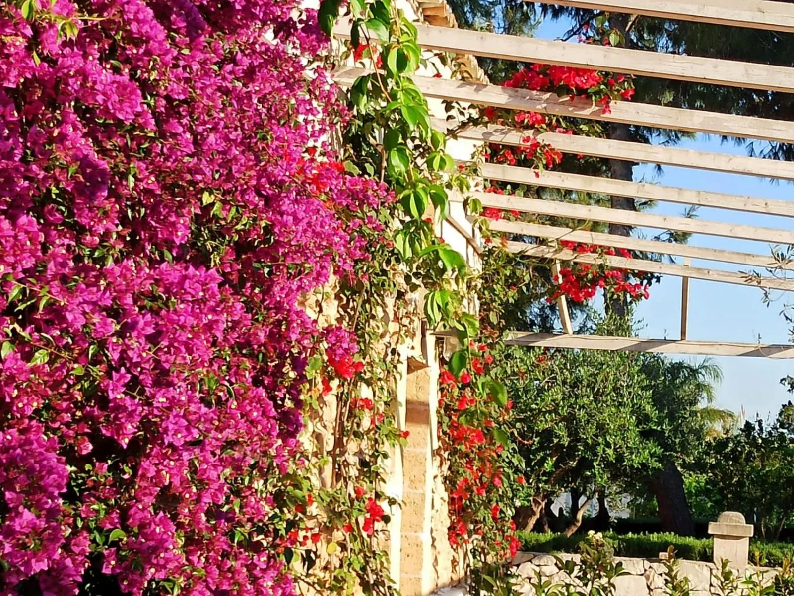 Agriturismo Tenuta Mazzetta