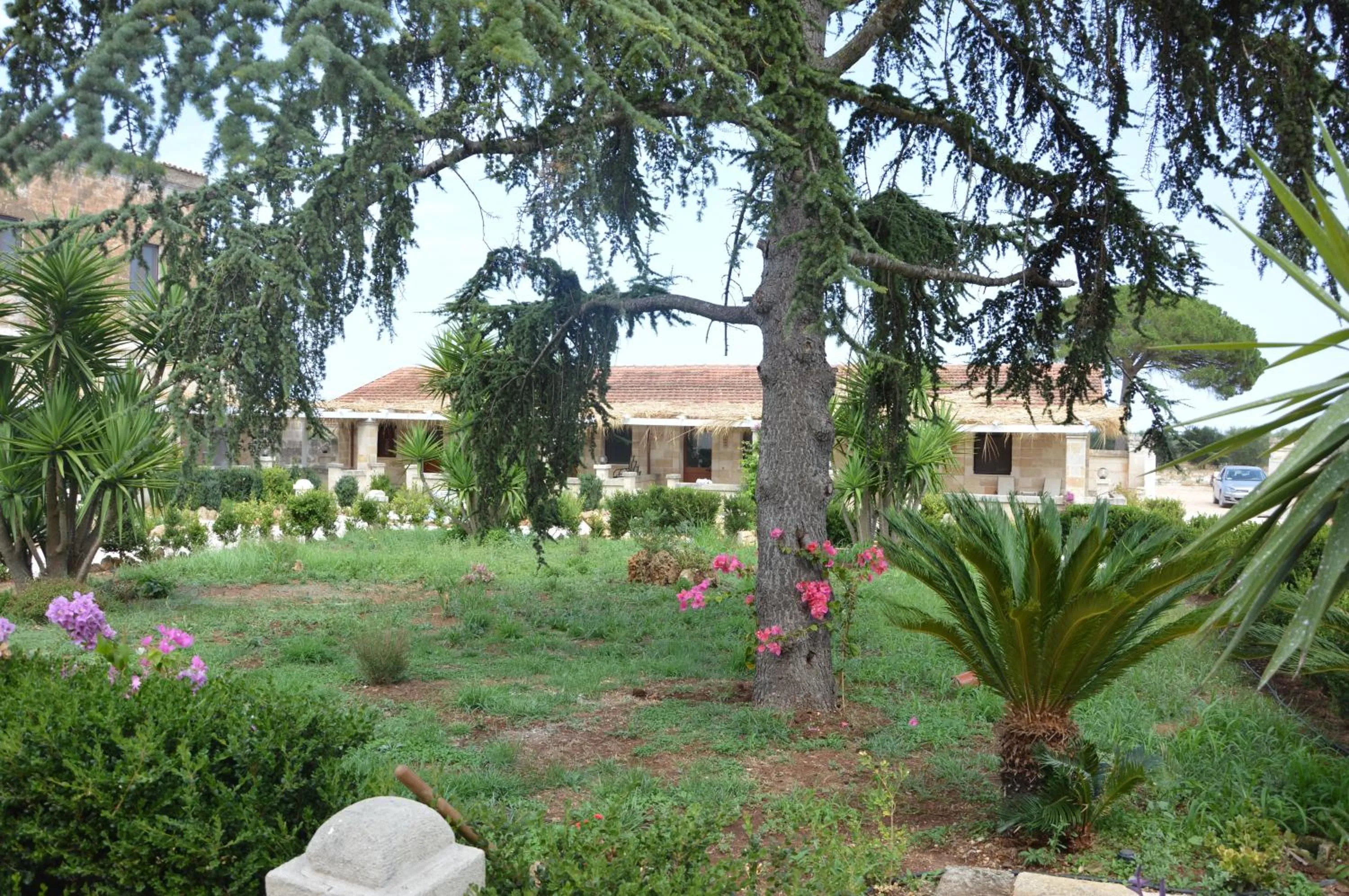 Other in Agriturismo Tenuta Mazzetta