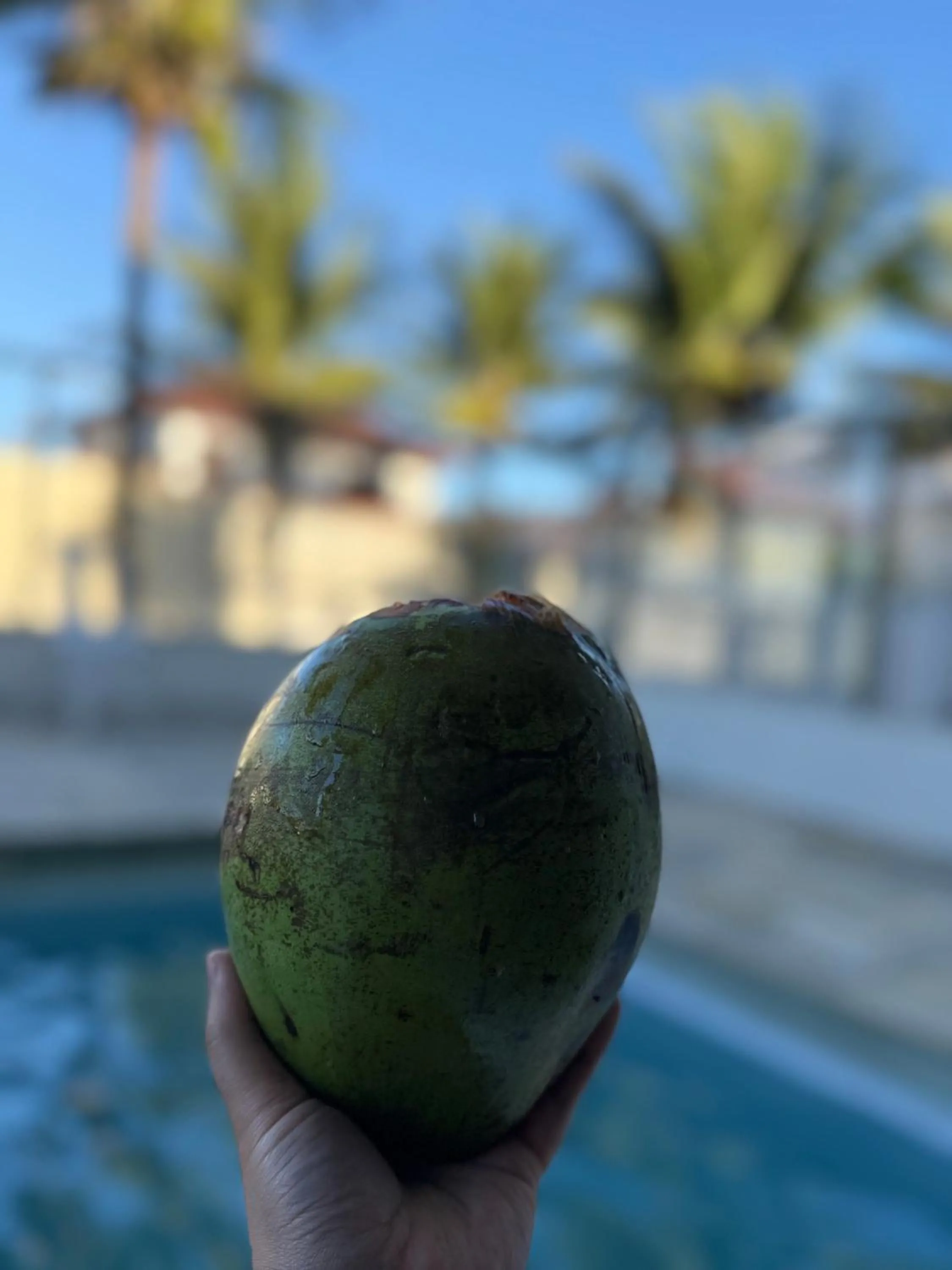 Pool view in Grand Maré Hotel