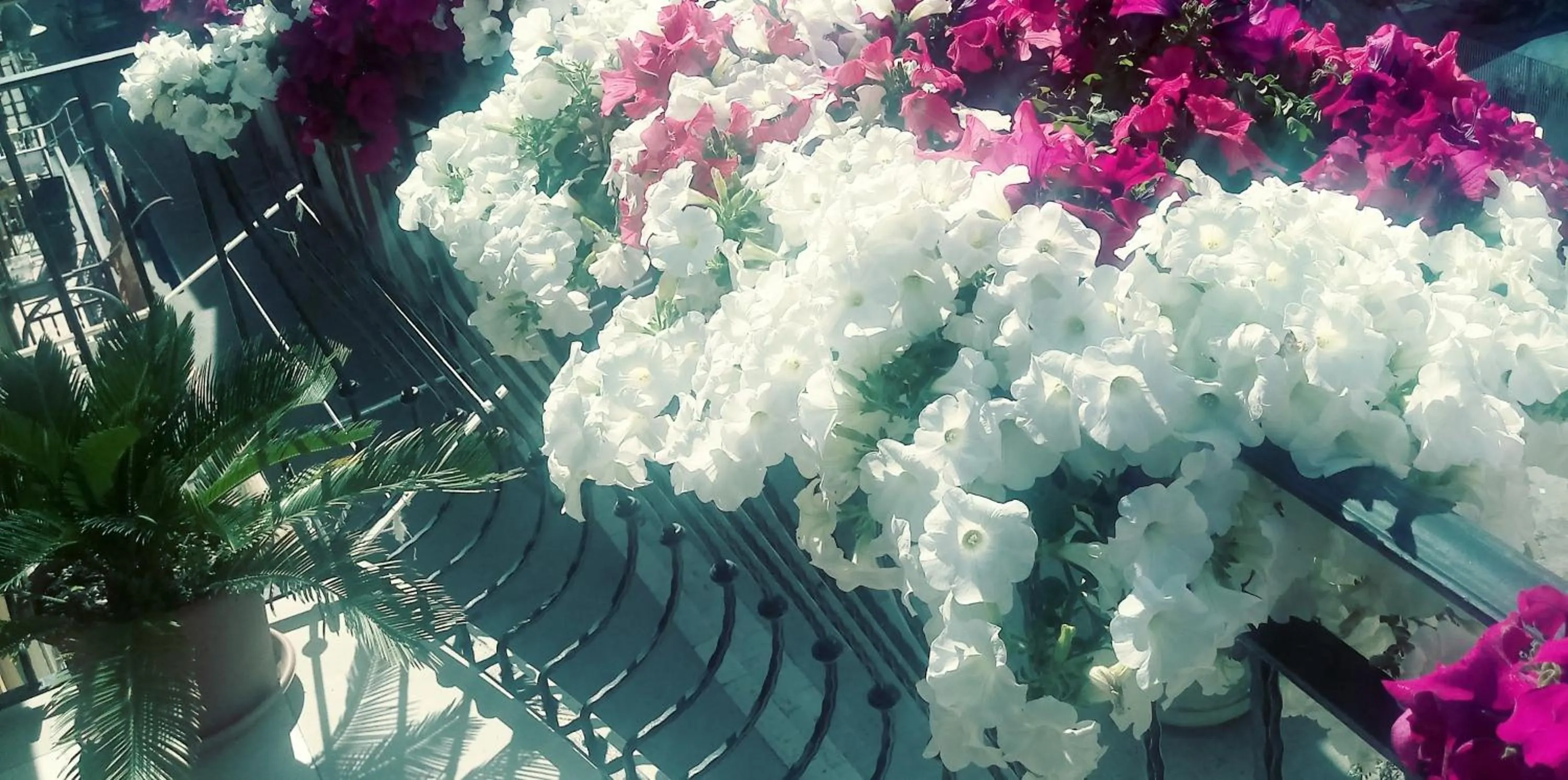 Street view in B&B Al Vecchio Borgo