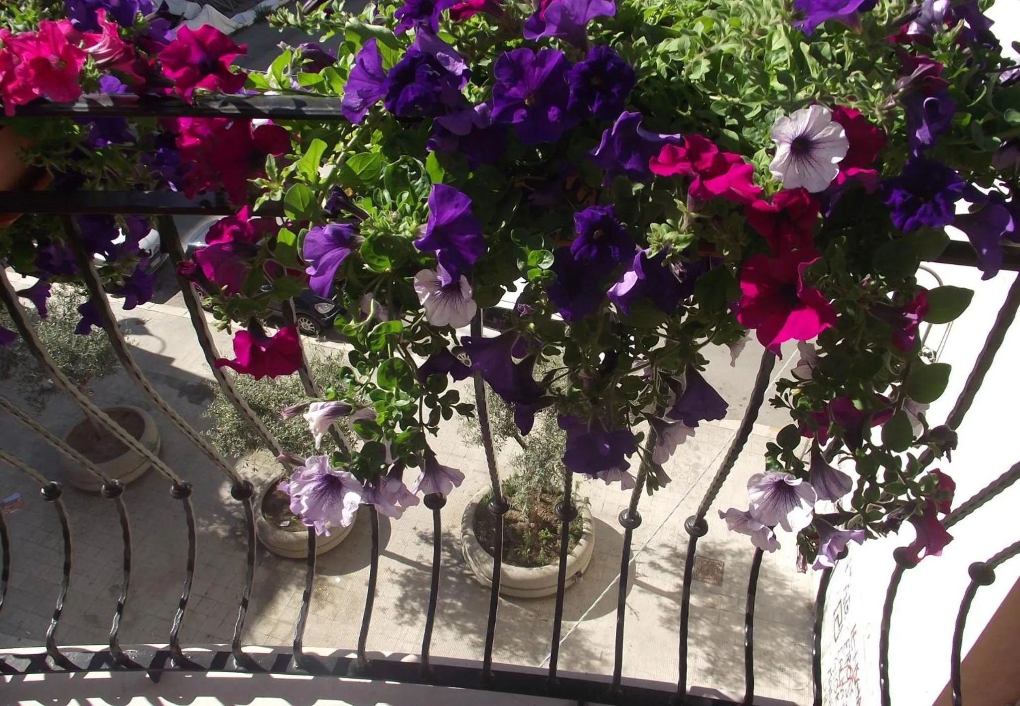 Street view in B&B Al Vecchio Borgo