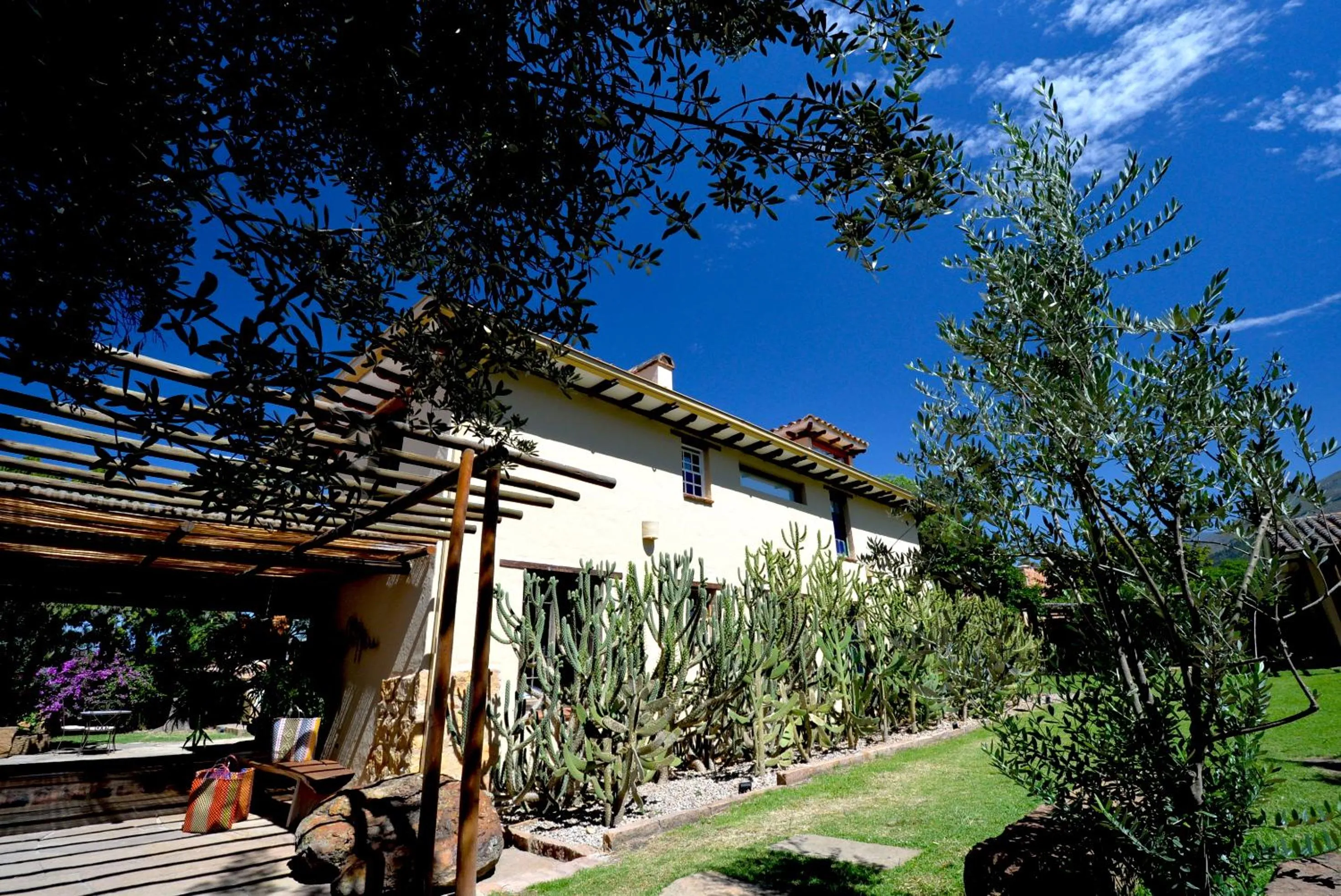 Garden view in Hotel Casa Terra