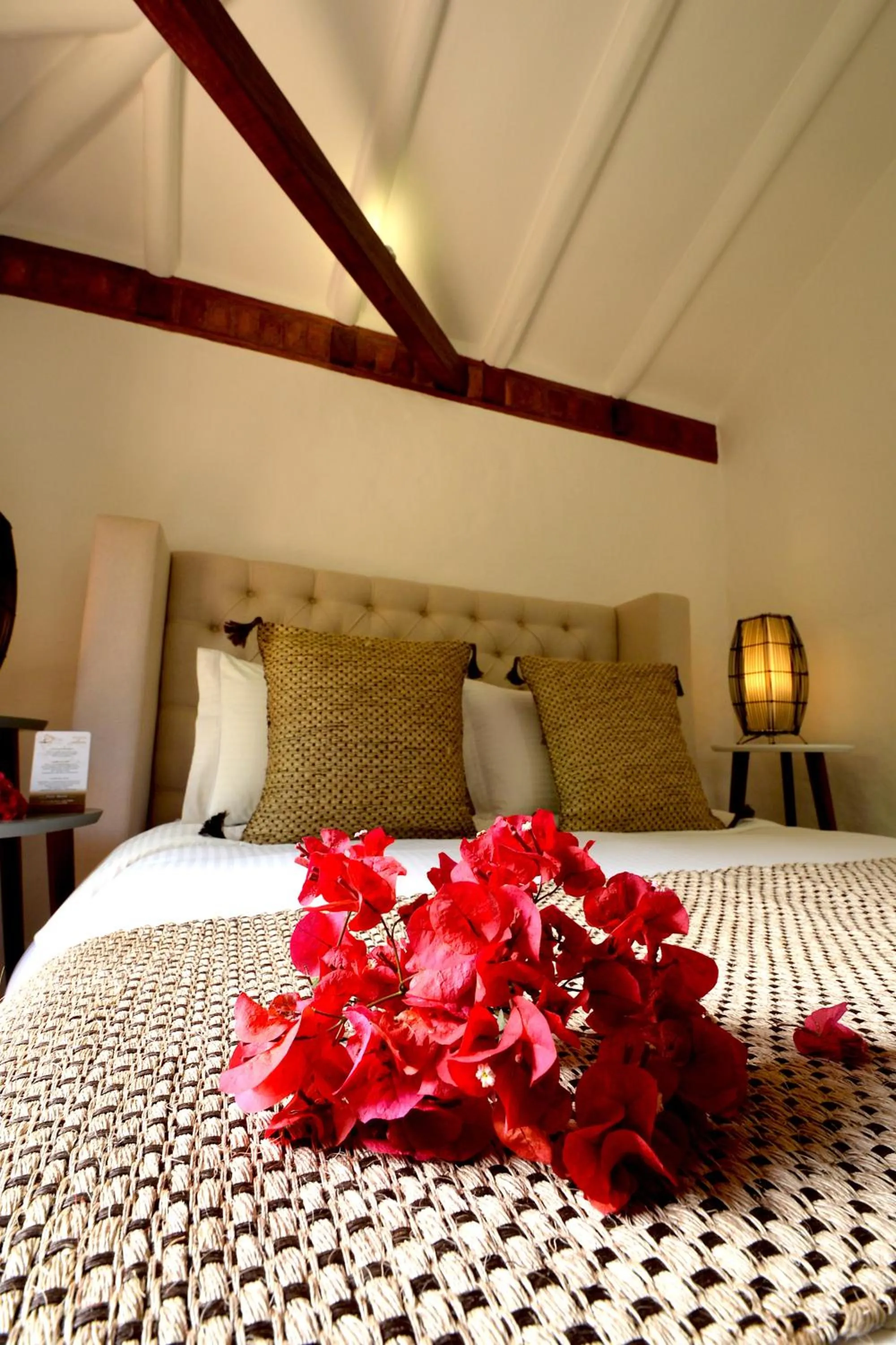 Bed in Hotel Casa Terra