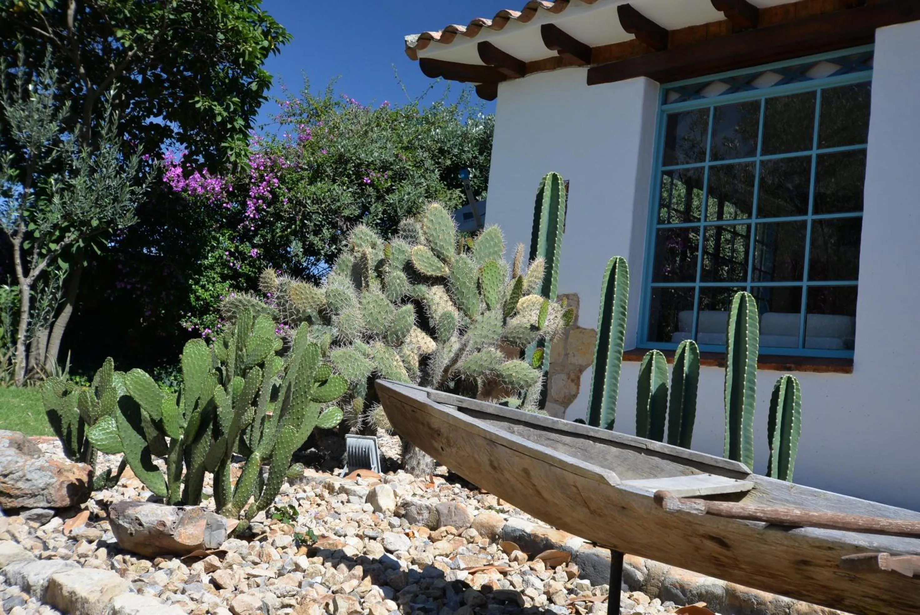 Garden in Hotel Casa Terra
