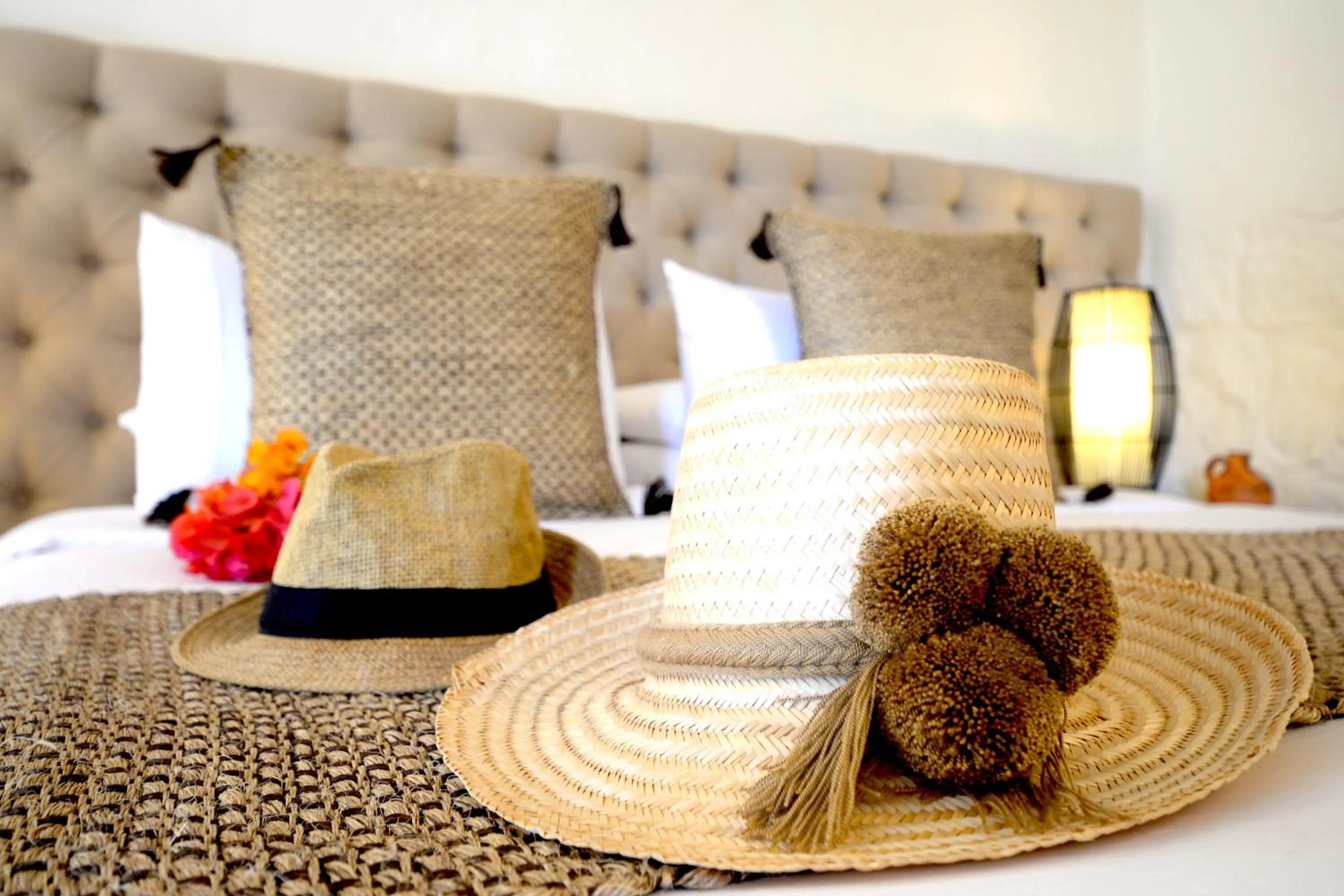 Other in Hotel Casa Terra