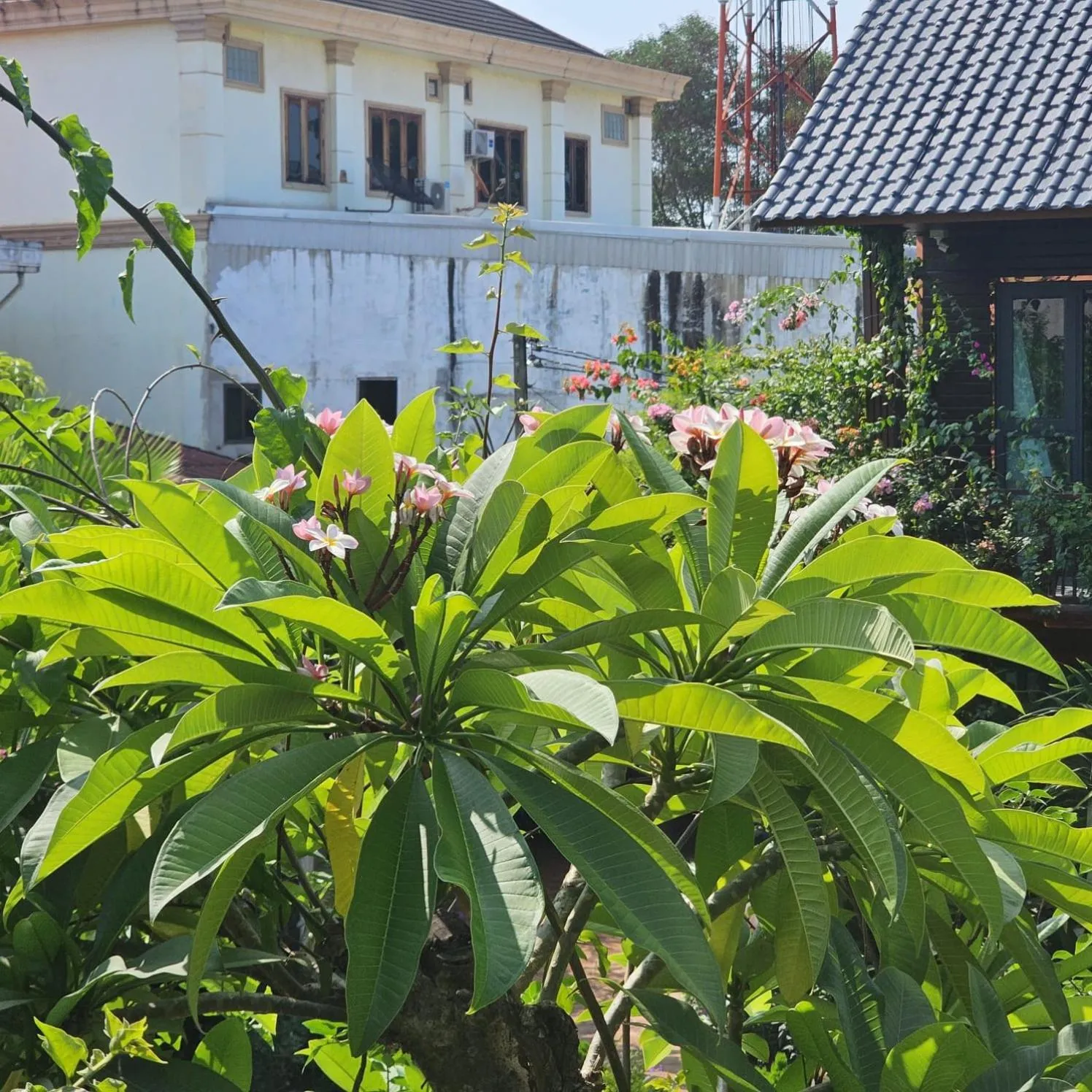 Property building in Champa Phan Boutique Hotel