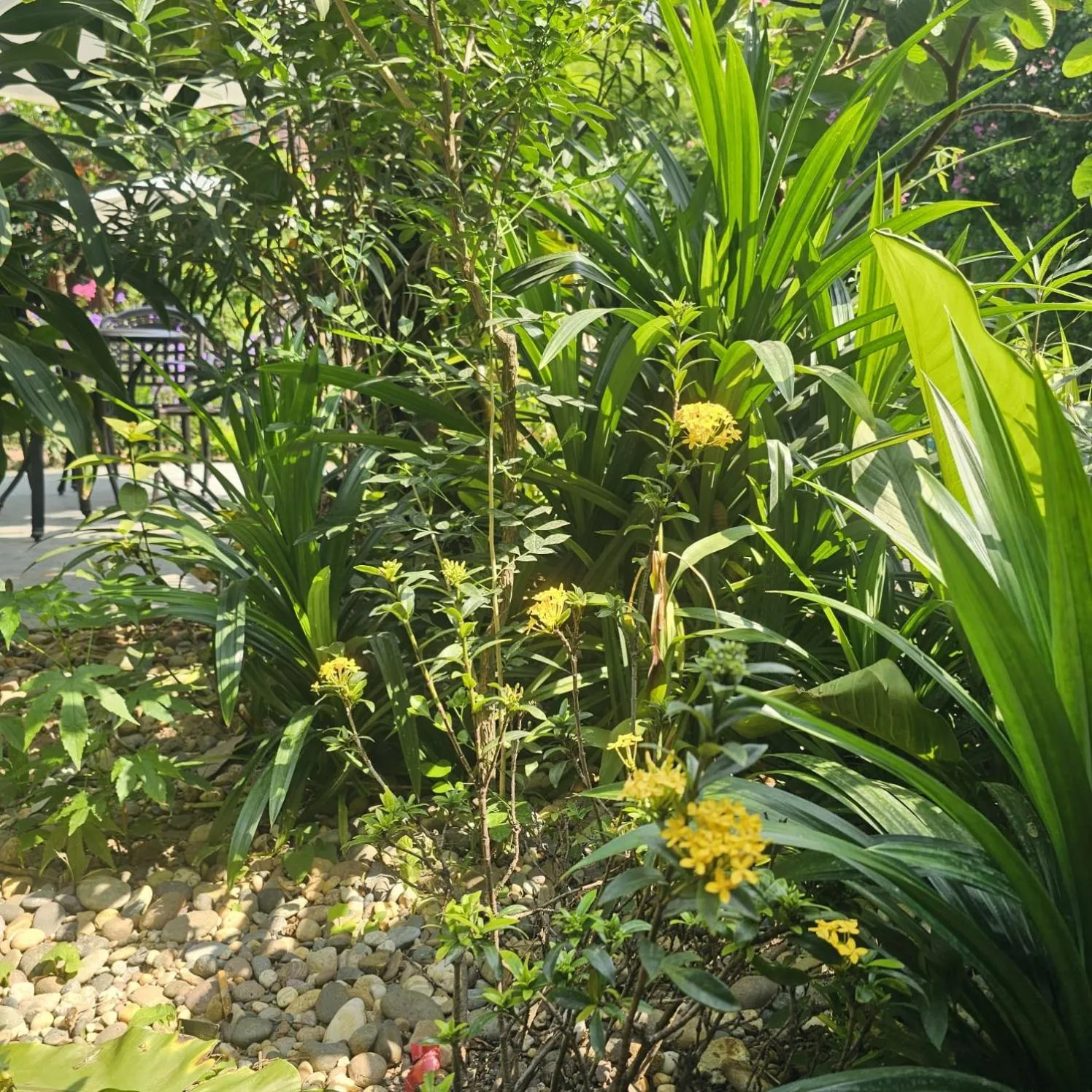 Day in Champa Phan Boutique Hotel