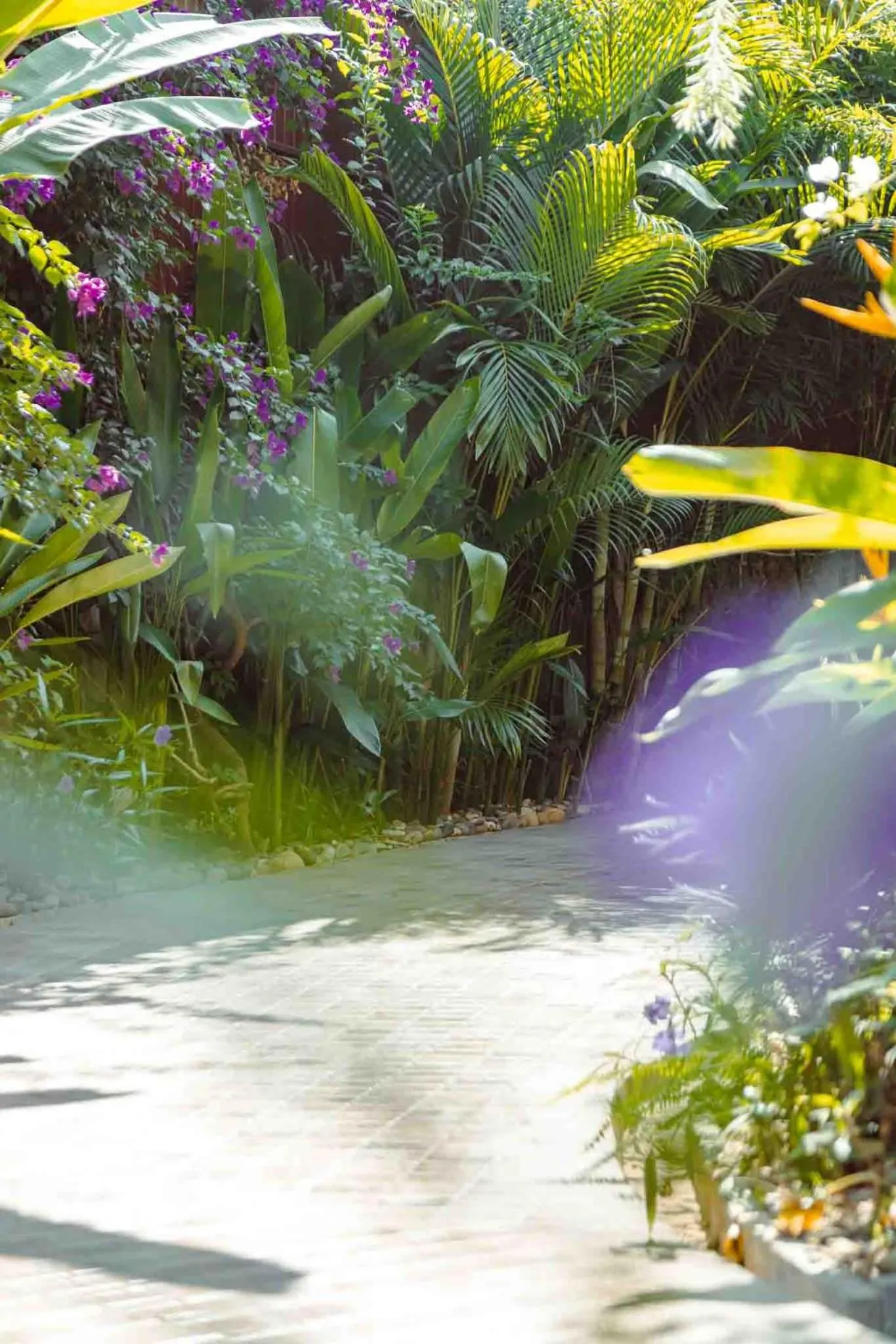 Natural landscape in Champa Phan Boutique Hotel