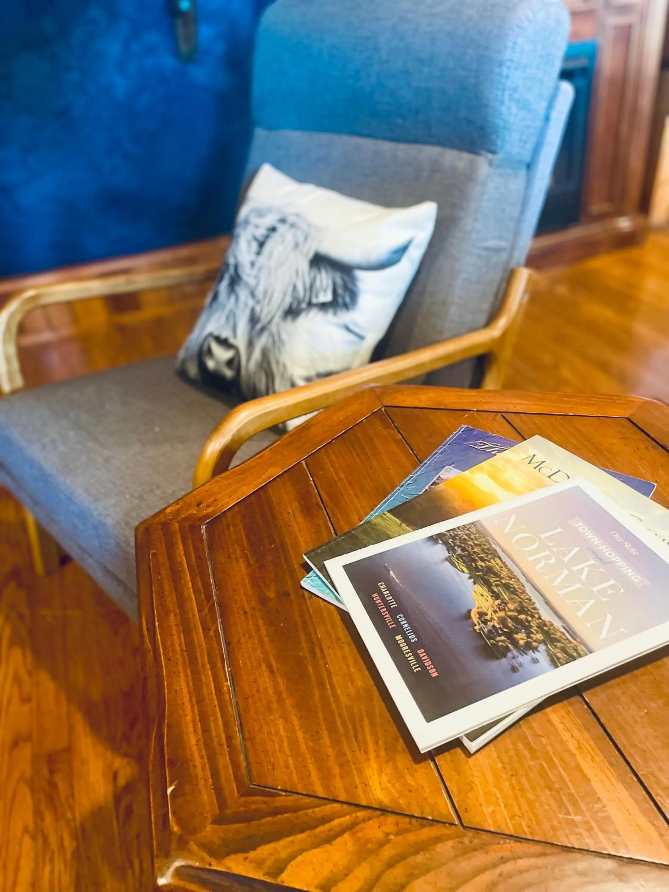 Game Room in Skyline Village Inn