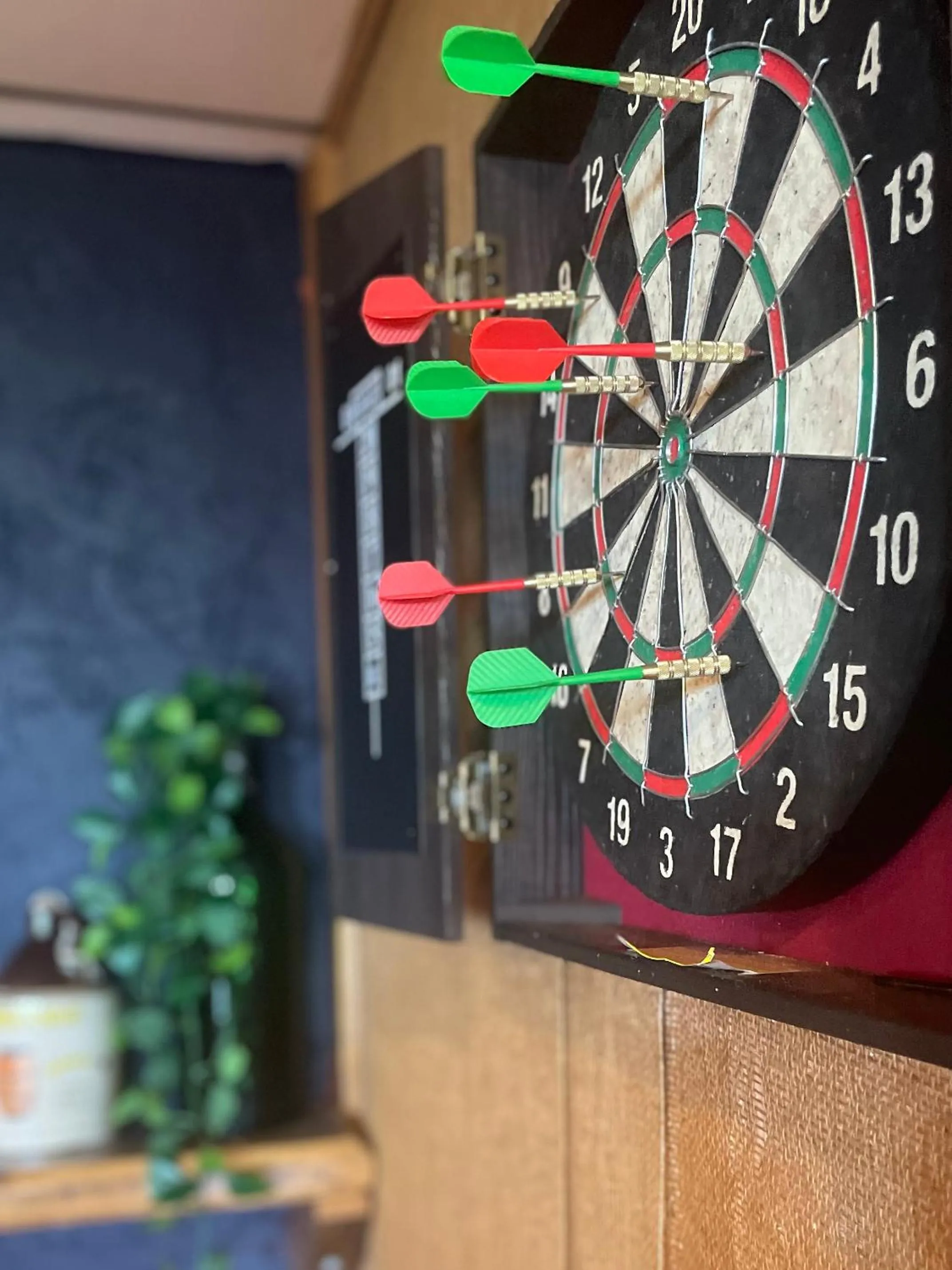 Game Room in Skyline Village Inn