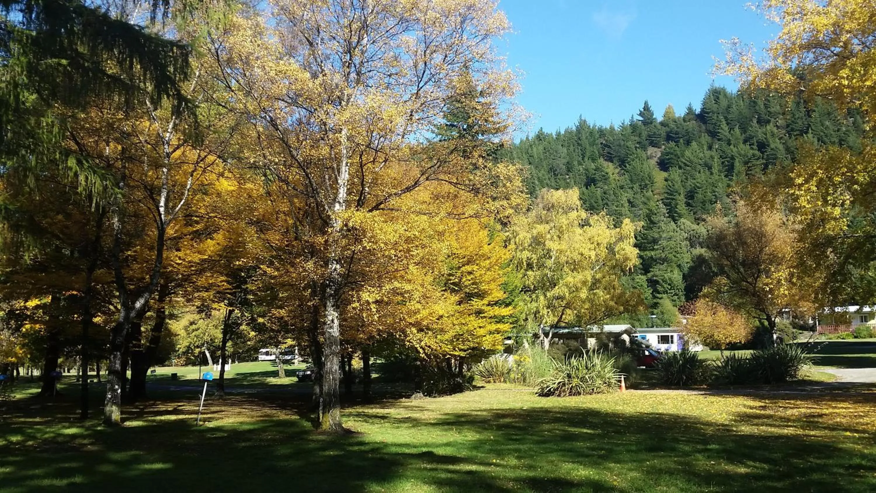 Area and facilities in The Camp - Lake Hawea