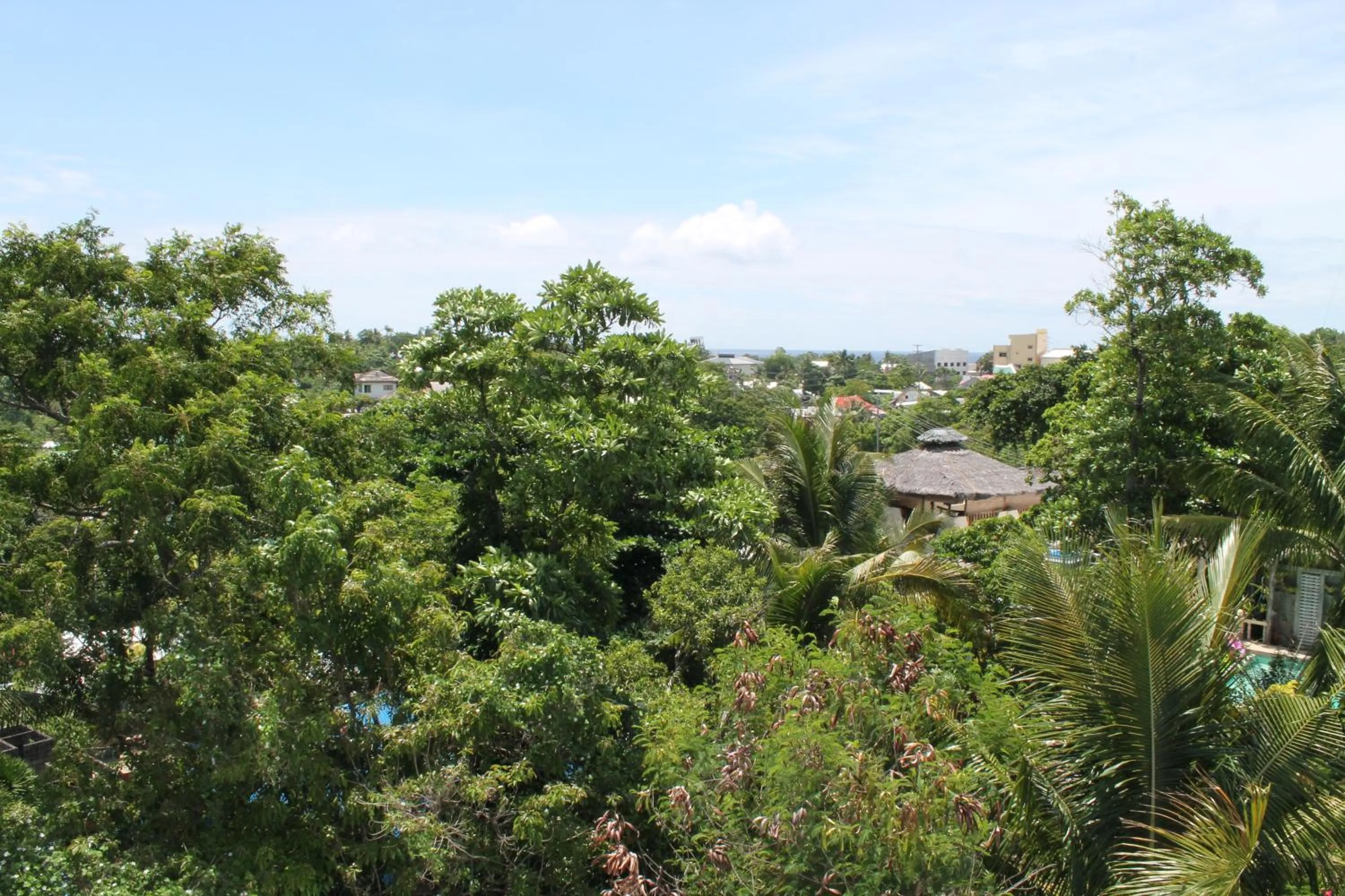 Natural landscape in Roger's Place Guesthouse