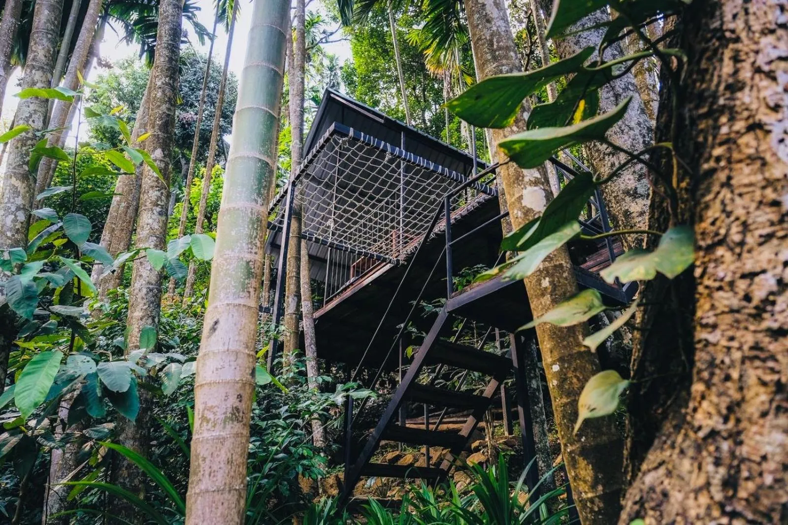 River Splendour Home Stay