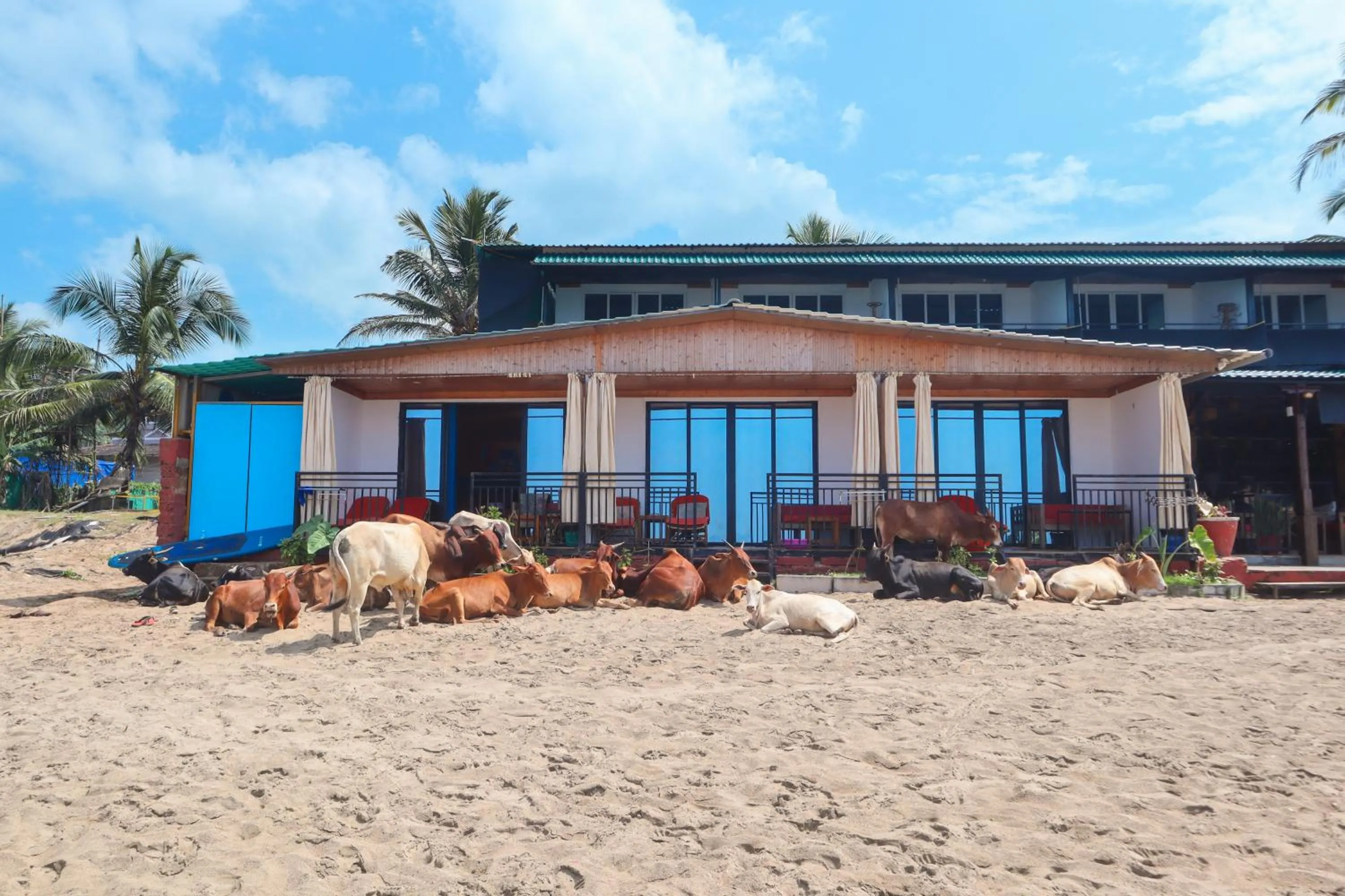 View (from property/room) in Simrose