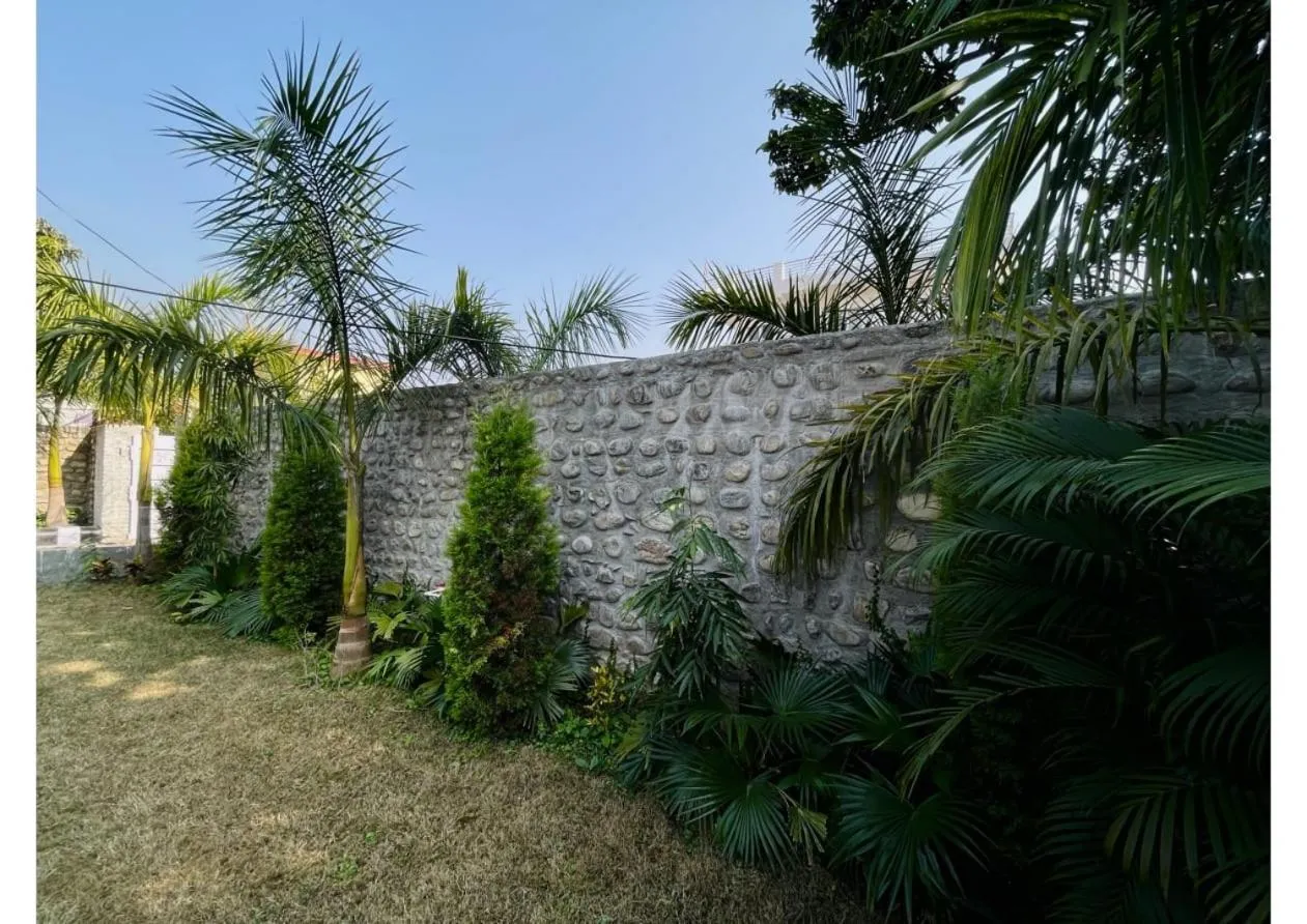 Other in Dreamland Resort