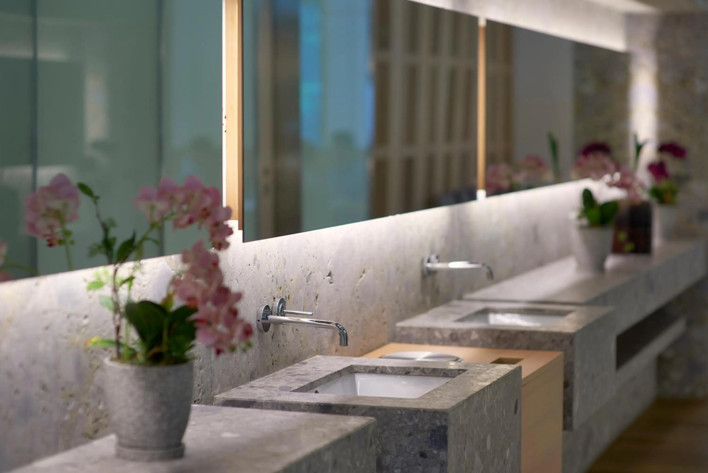 Area and facilities in Sotetsu Hotels The Splaisir Seoul Myeongdong