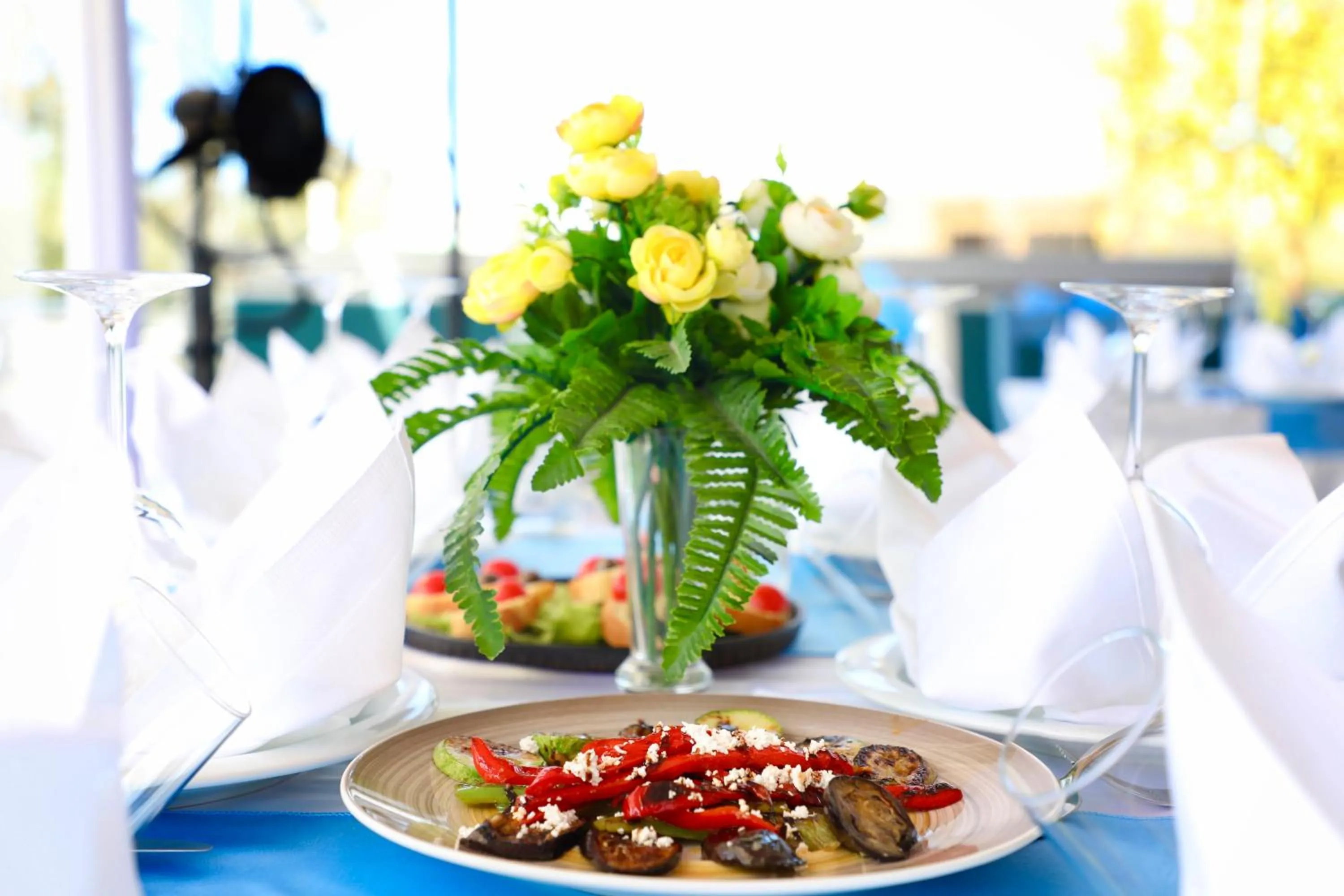 Restaurant/places to eat in Hotel Divers