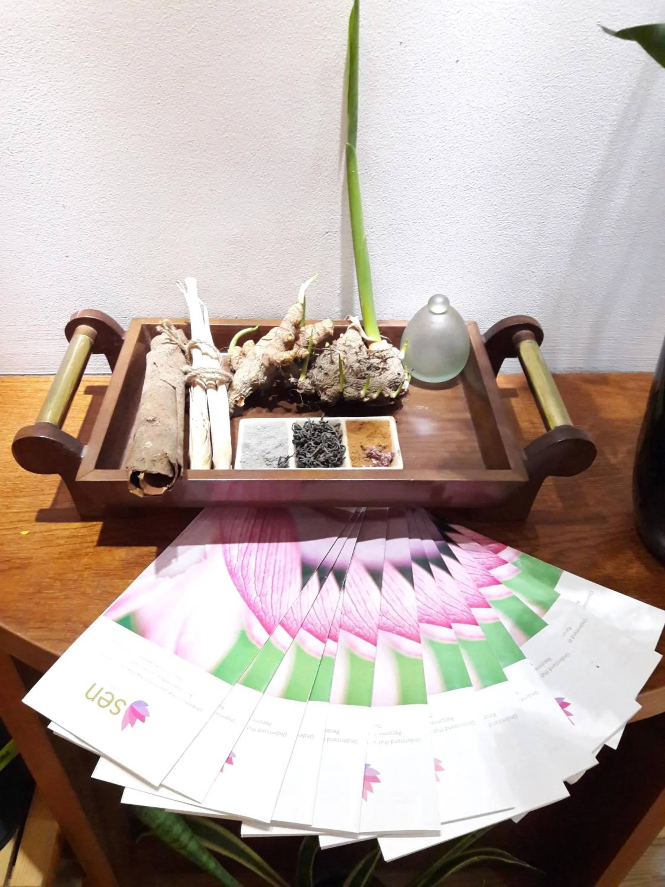 Spa and wellness centre/facilities in Bluesky Serviced Apartment Airport Plaza